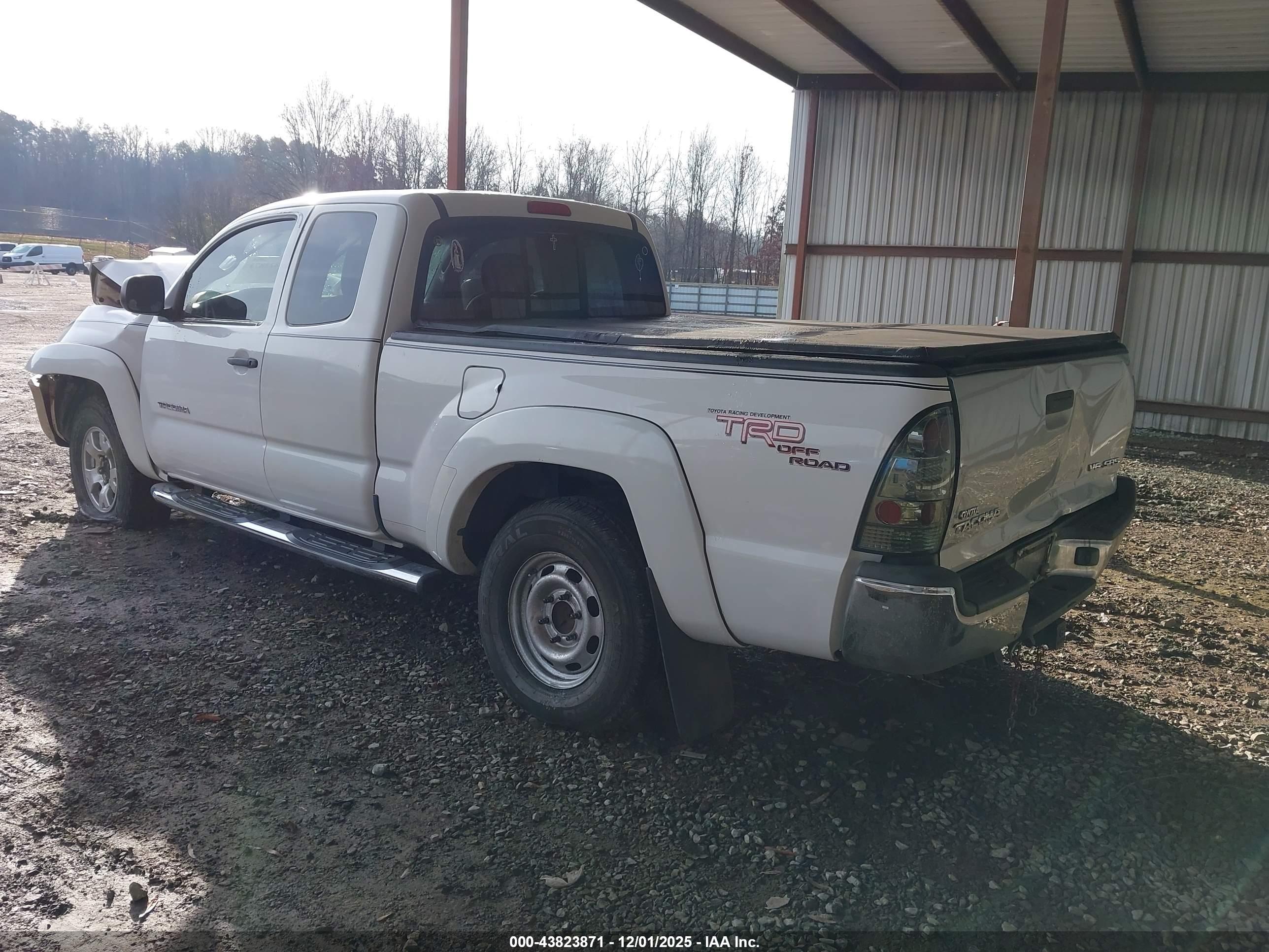 TOYOTA TACOMA image 3