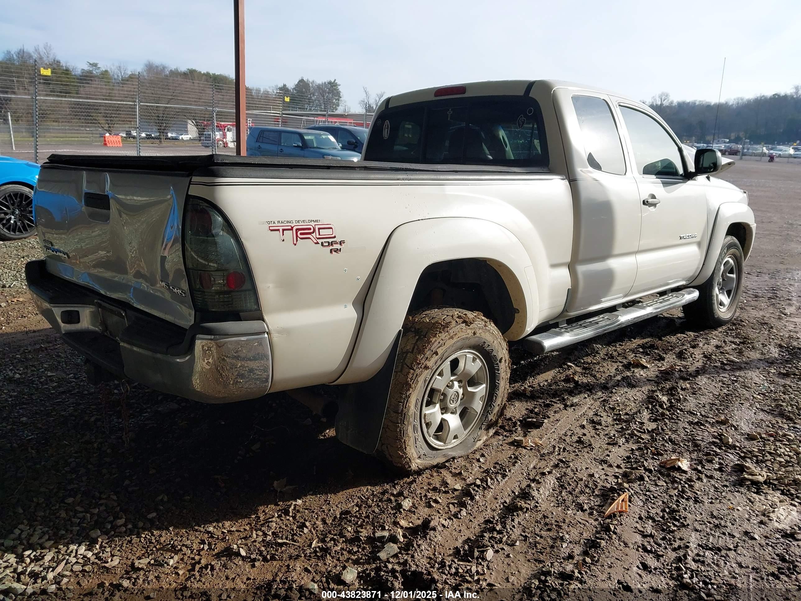 TOYOTA TACOMA image 4