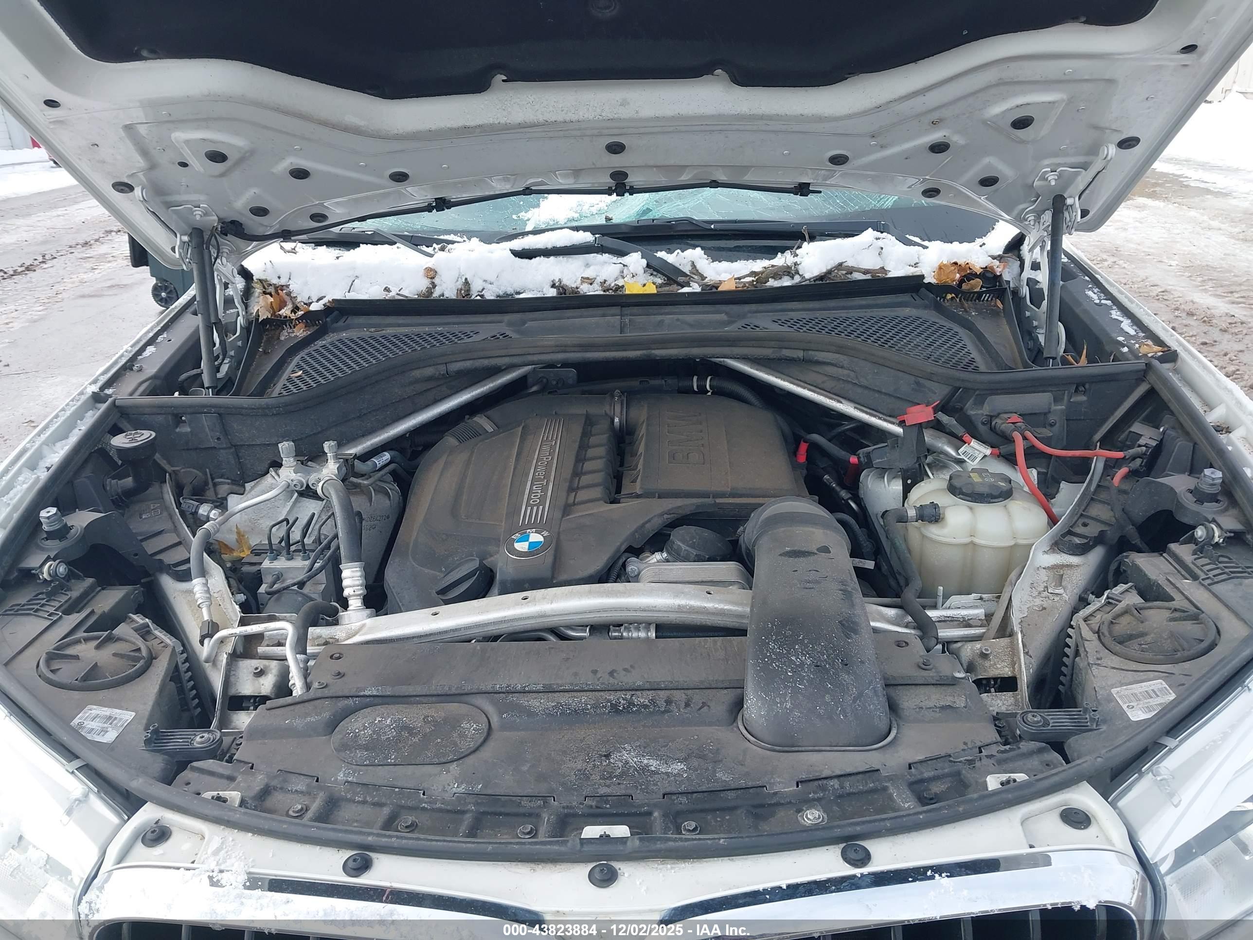 BMW X6 image 10