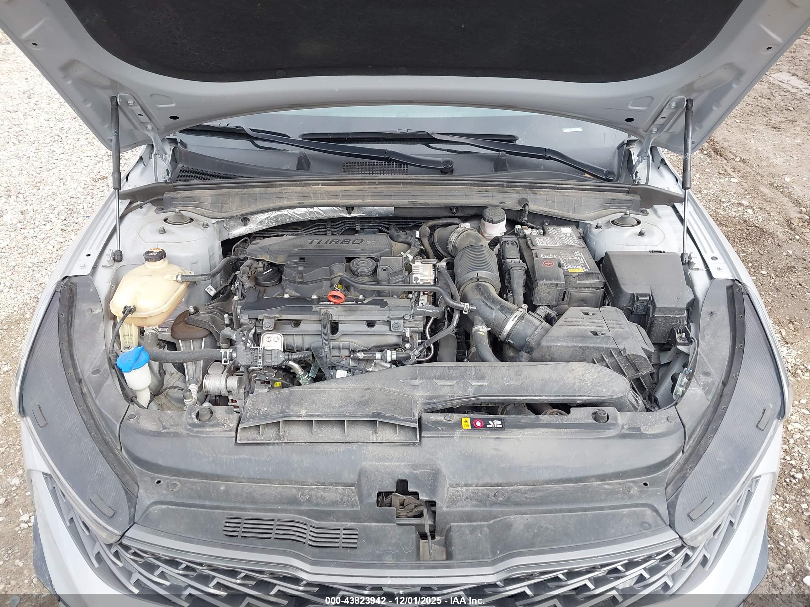 KIA K5 image 10