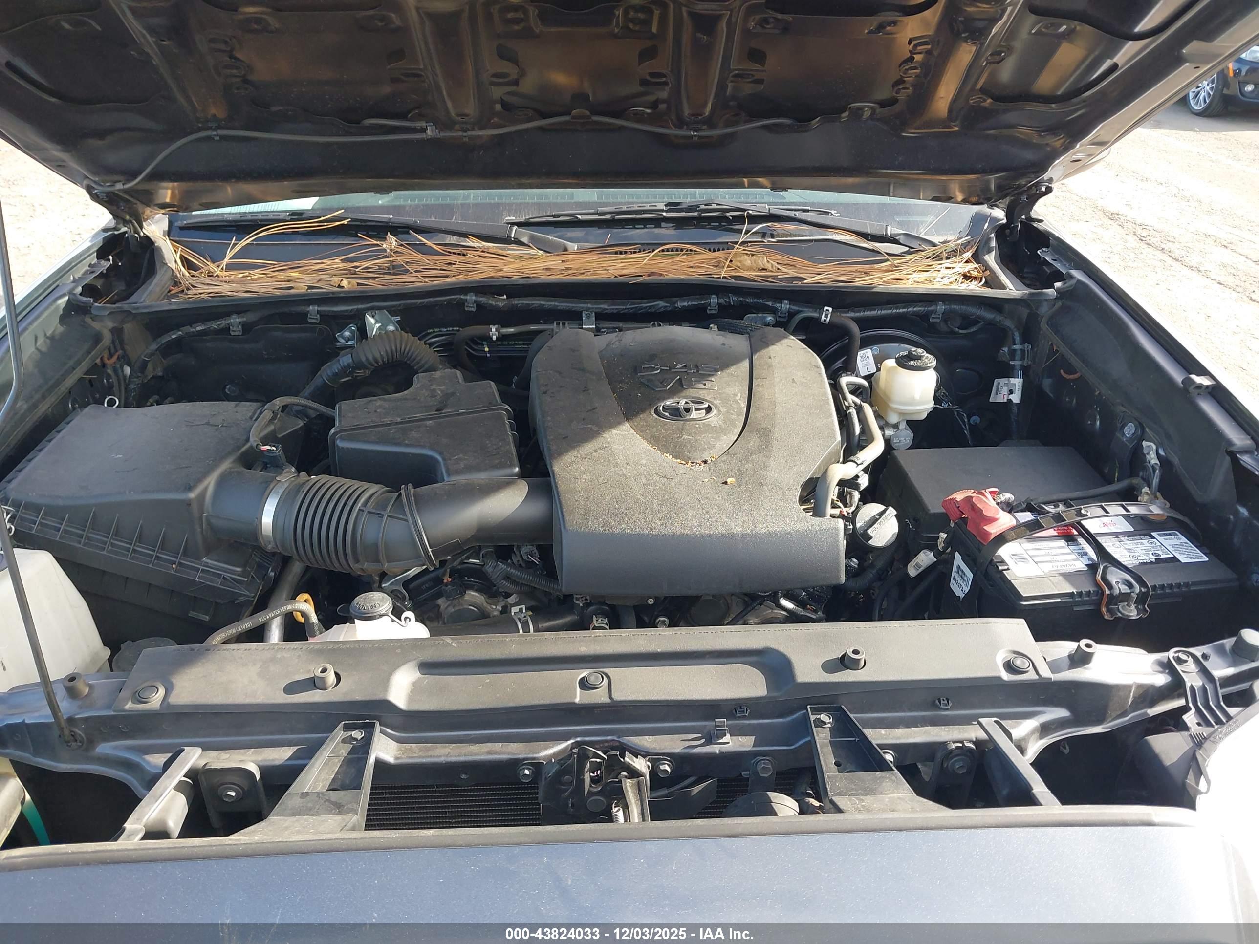 TOYOTA TACOMA image 10
