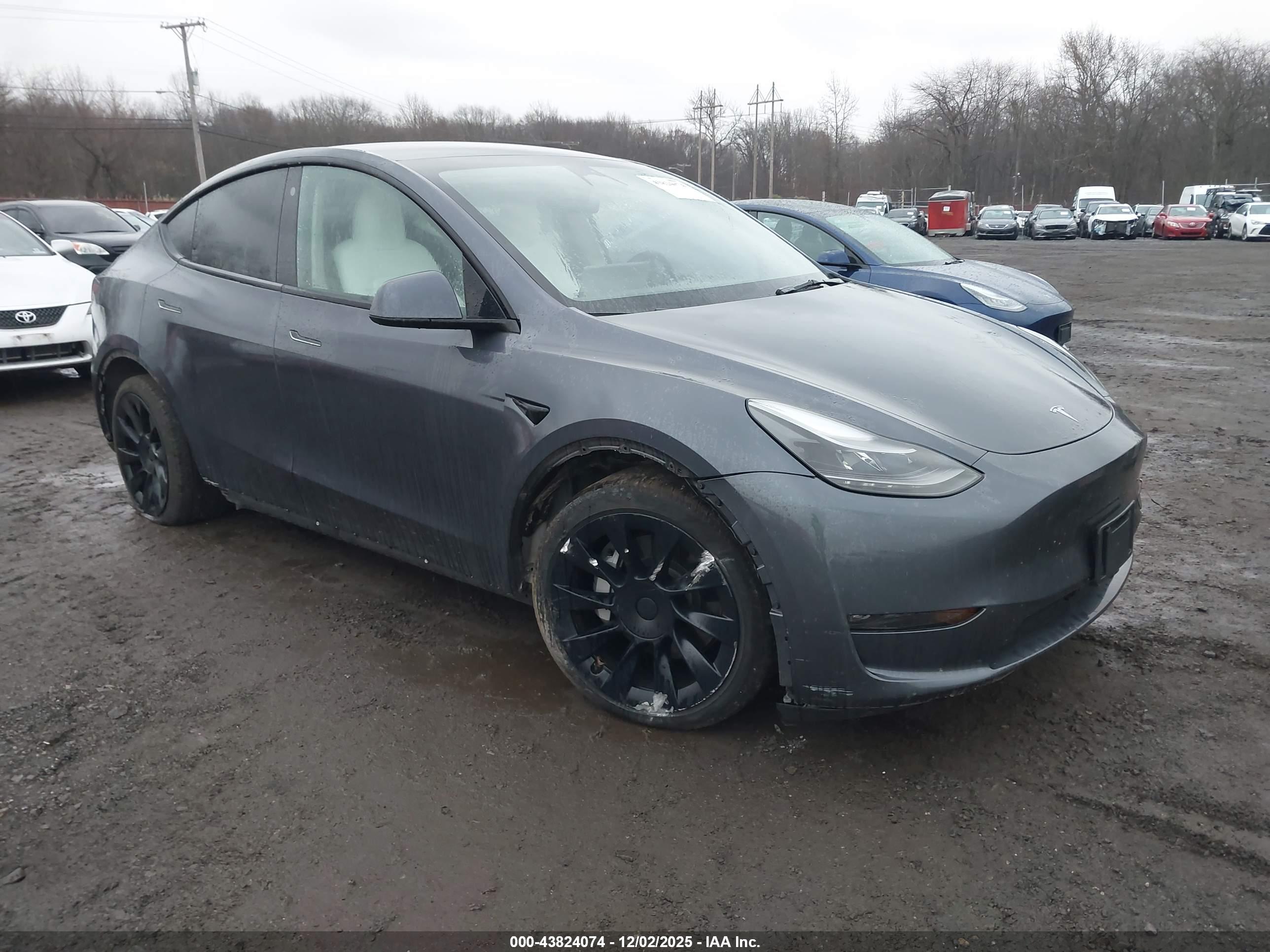 TESLA MODEL image 6