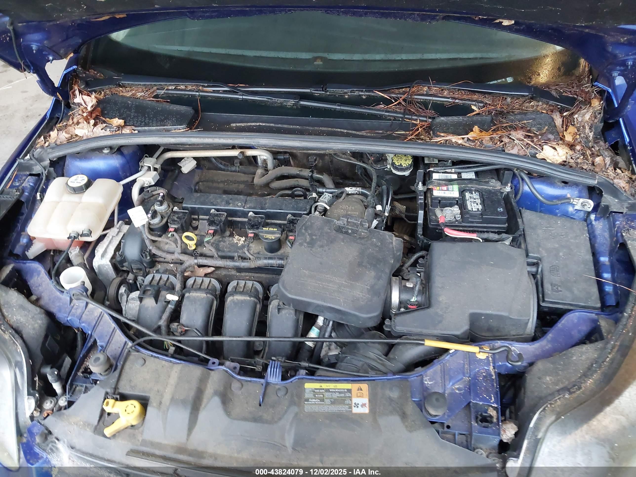FORD FOCUS image 10