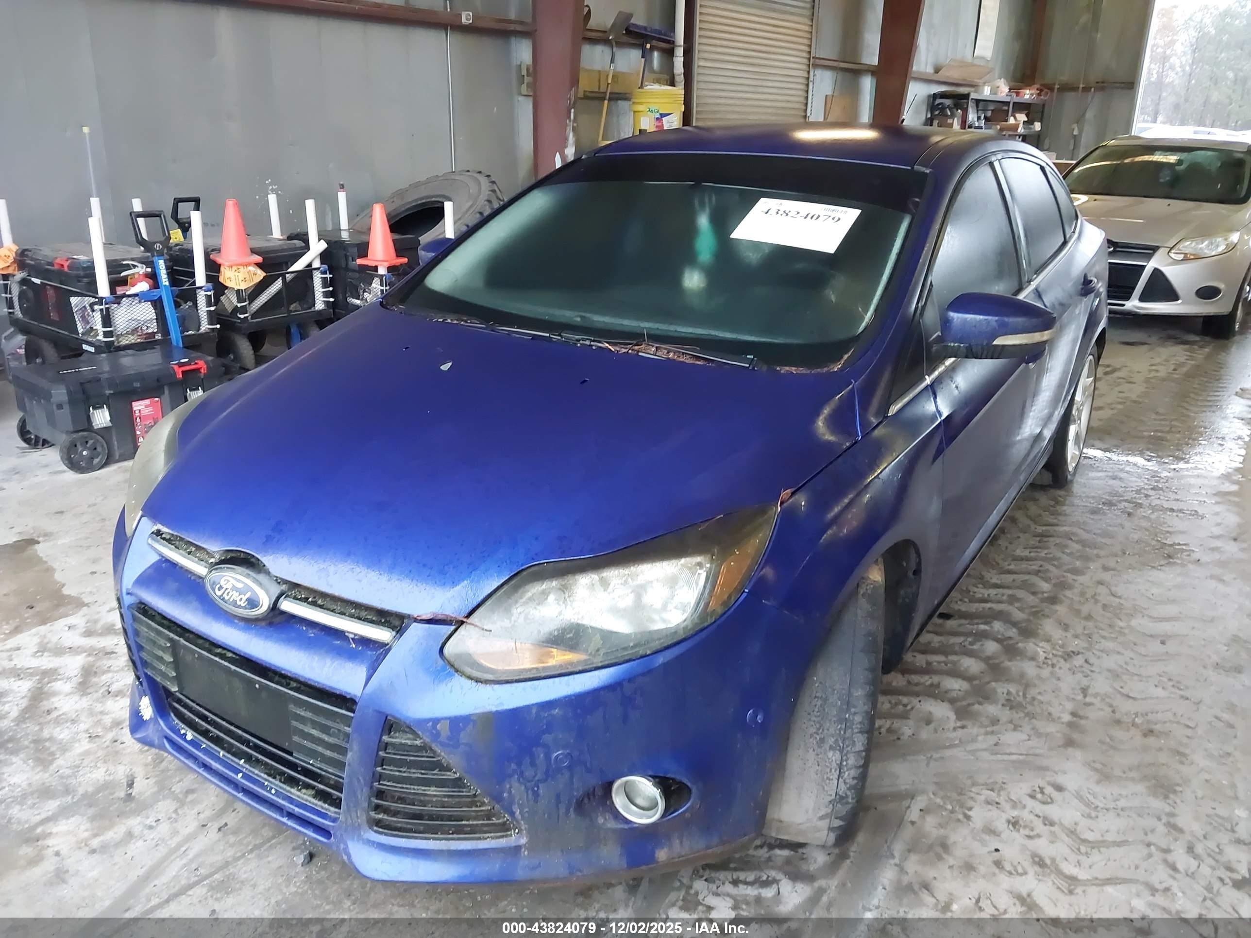FORD FOCUS image 2