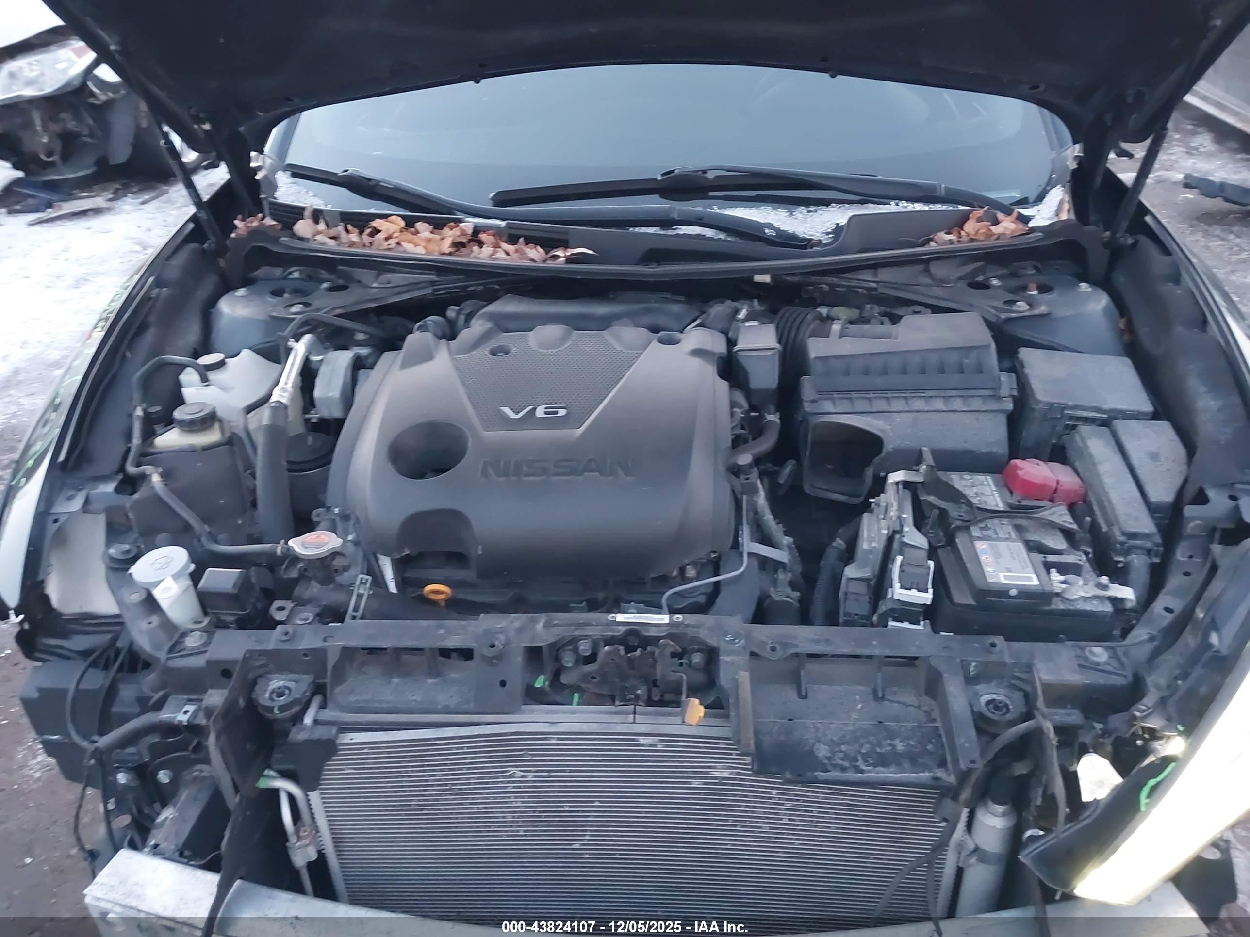 NISSAN MAXIMA image 10