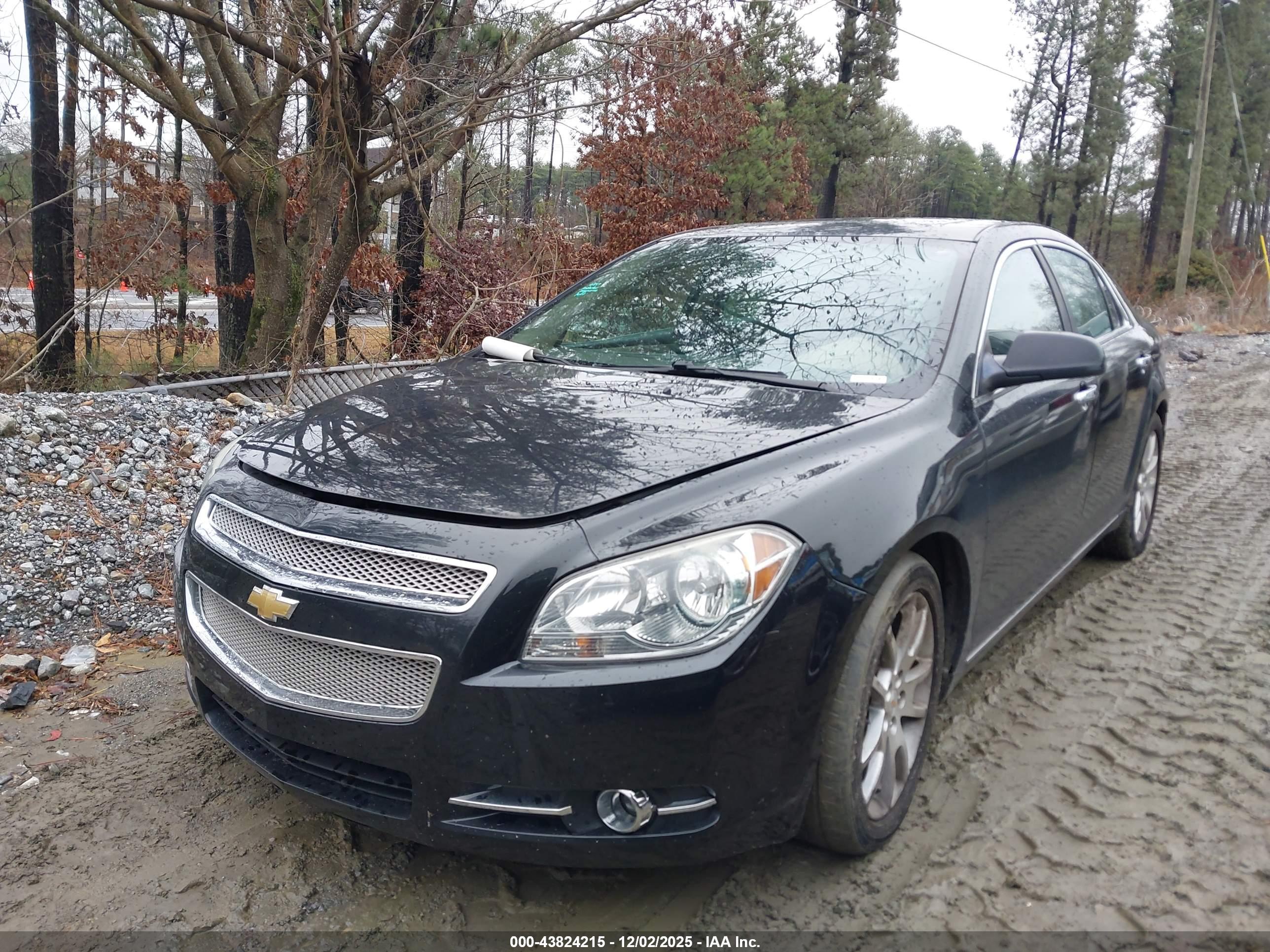 CHEVROLET MALIBU image 2