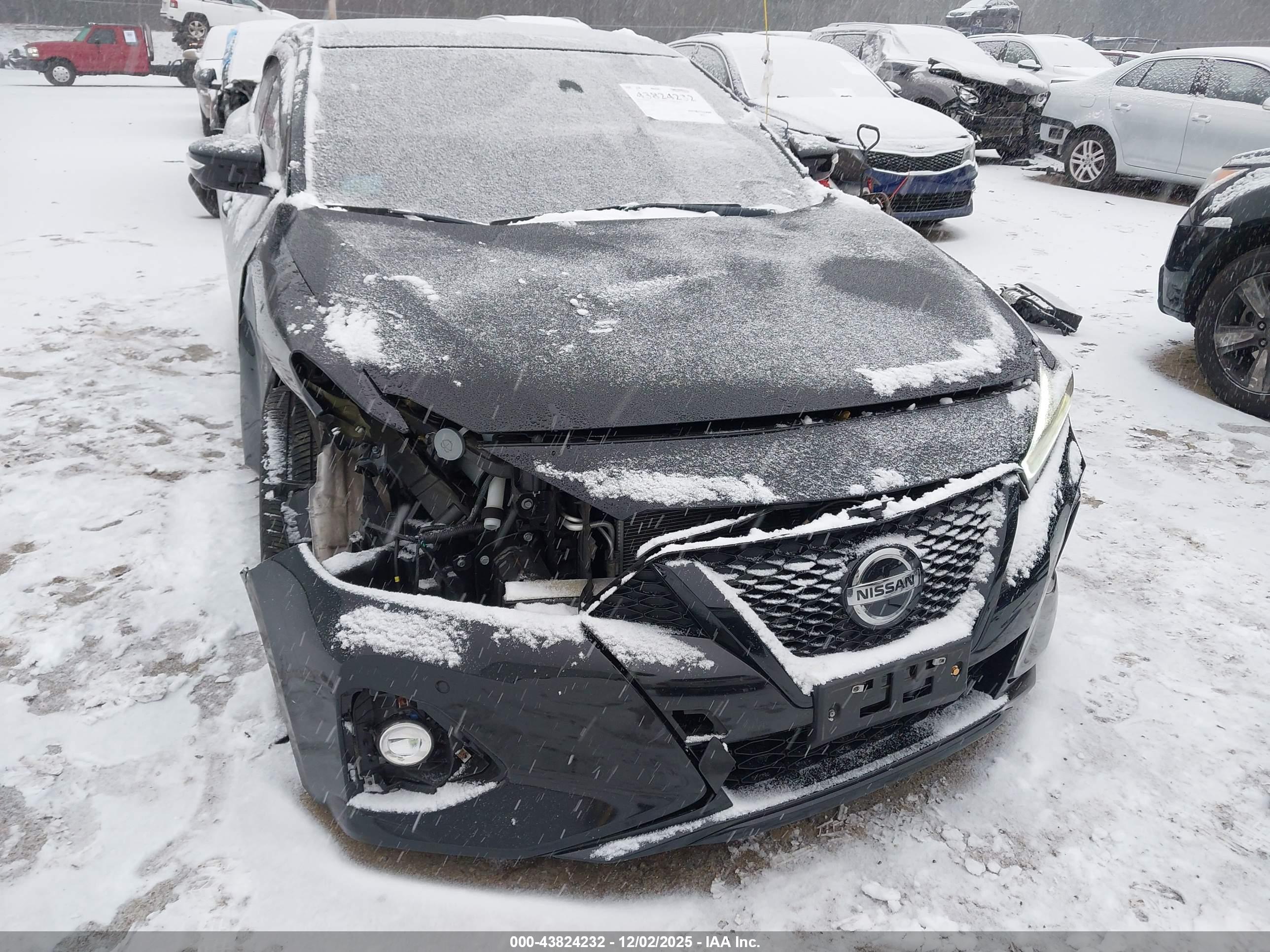 NISSAN MAXIMA image 6