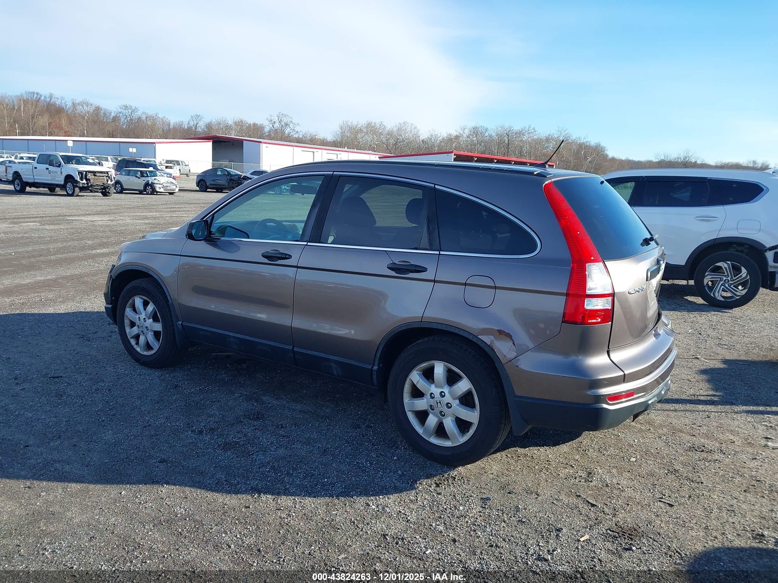 HONDA CR-V image 3