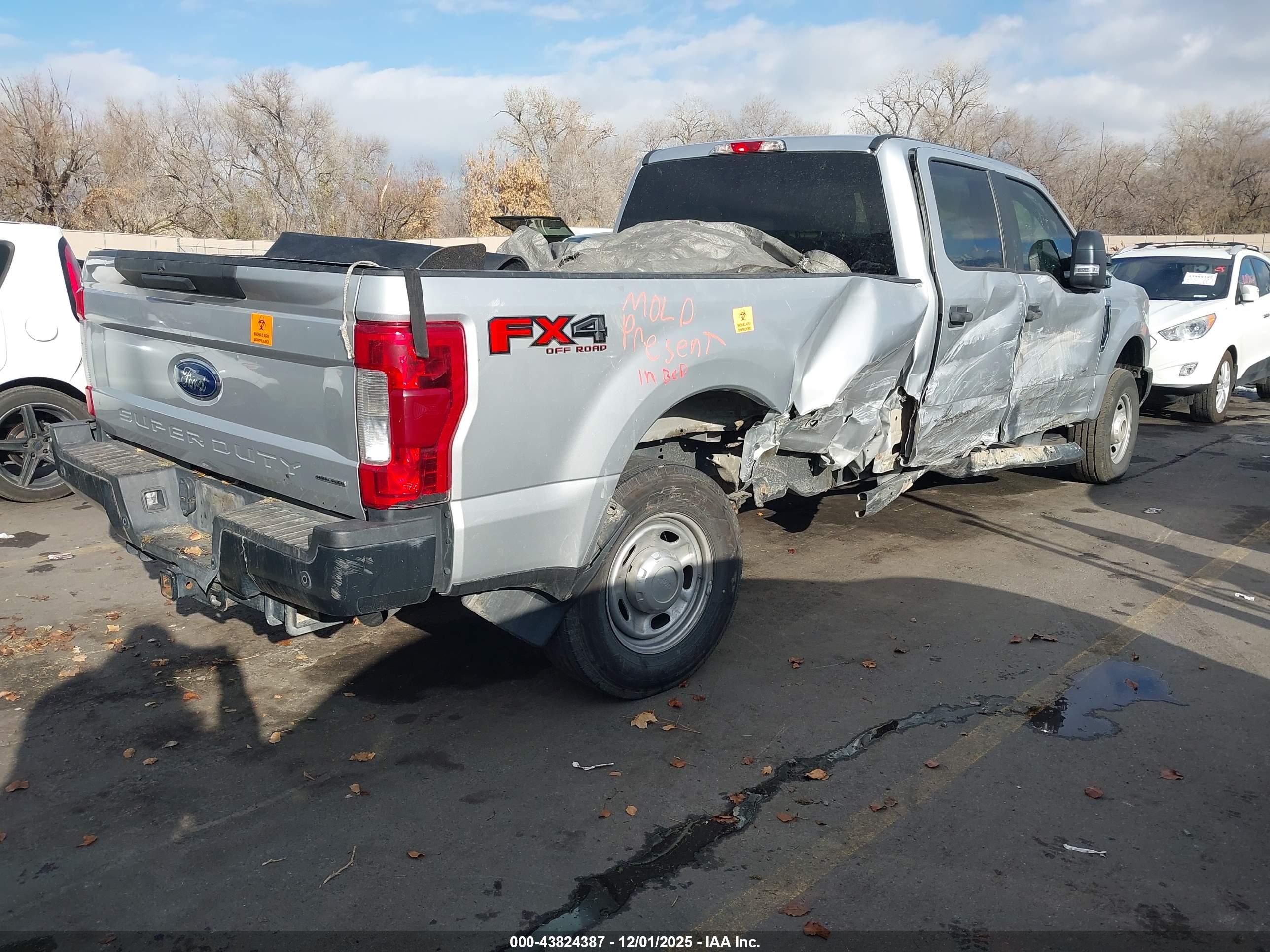 FORD F-250 image 4