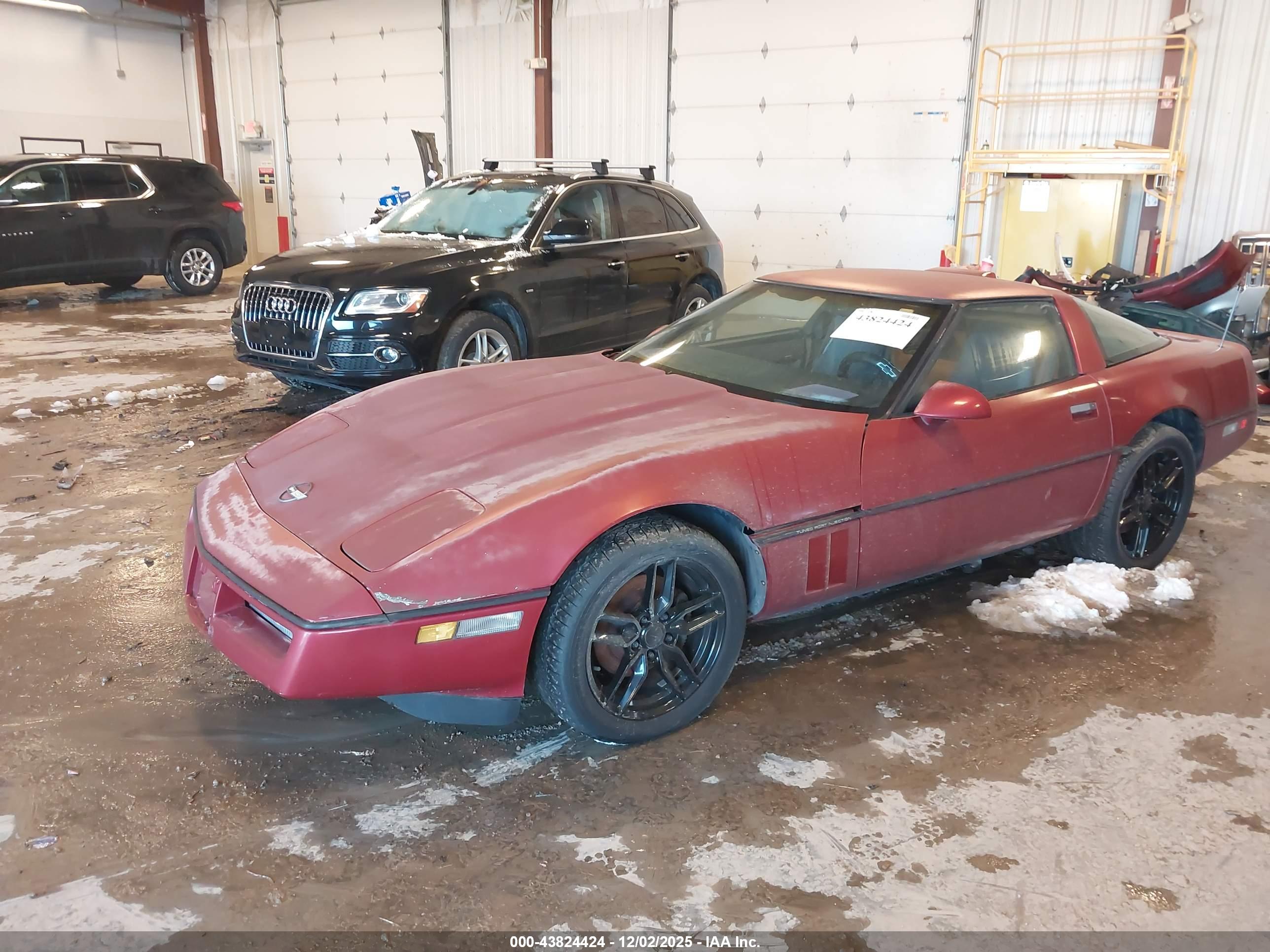 CHEVROLET CORVETTE image 2