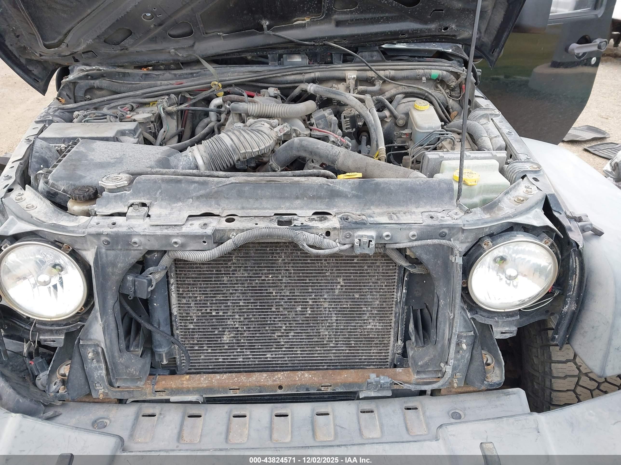 JEEP WRANGLER image 10