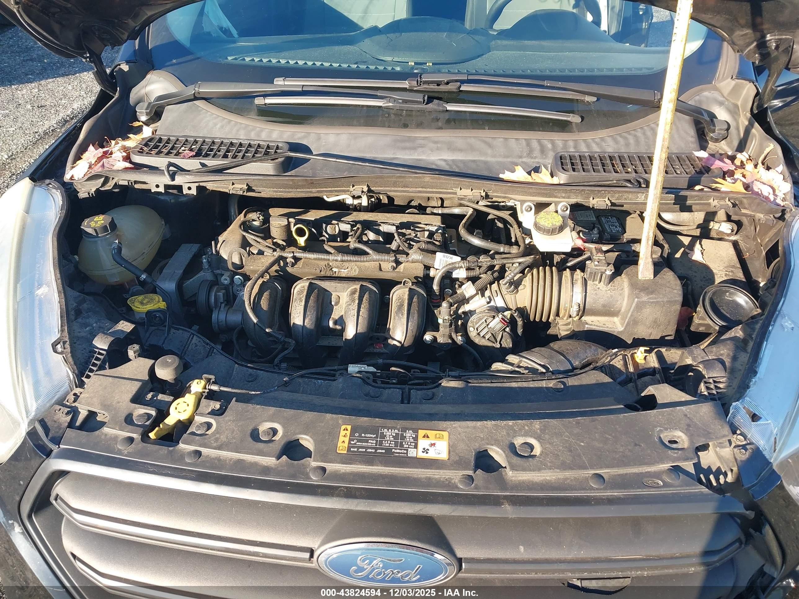 FORD ESCAPE image 10