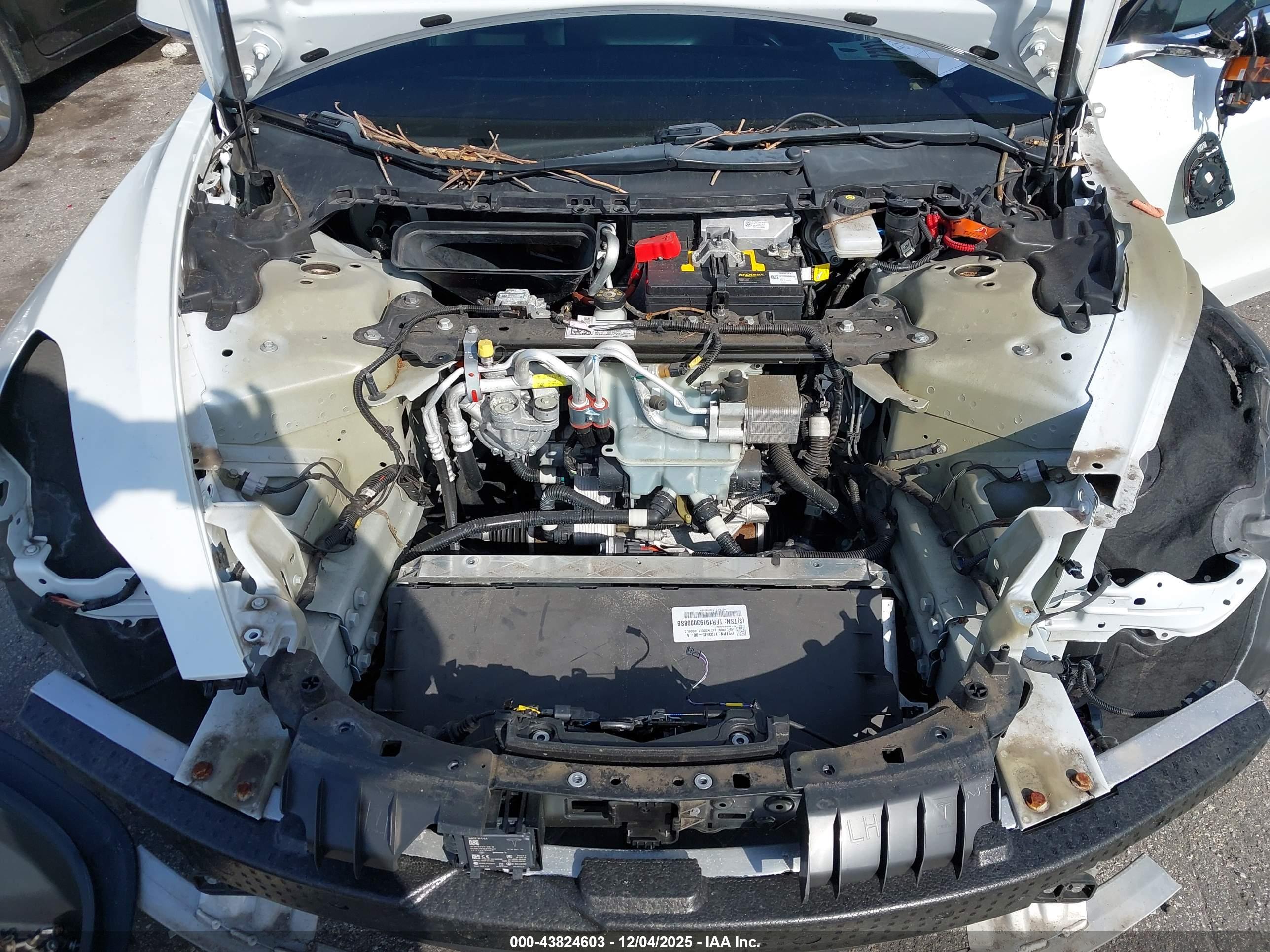TESLA MODEL image 10