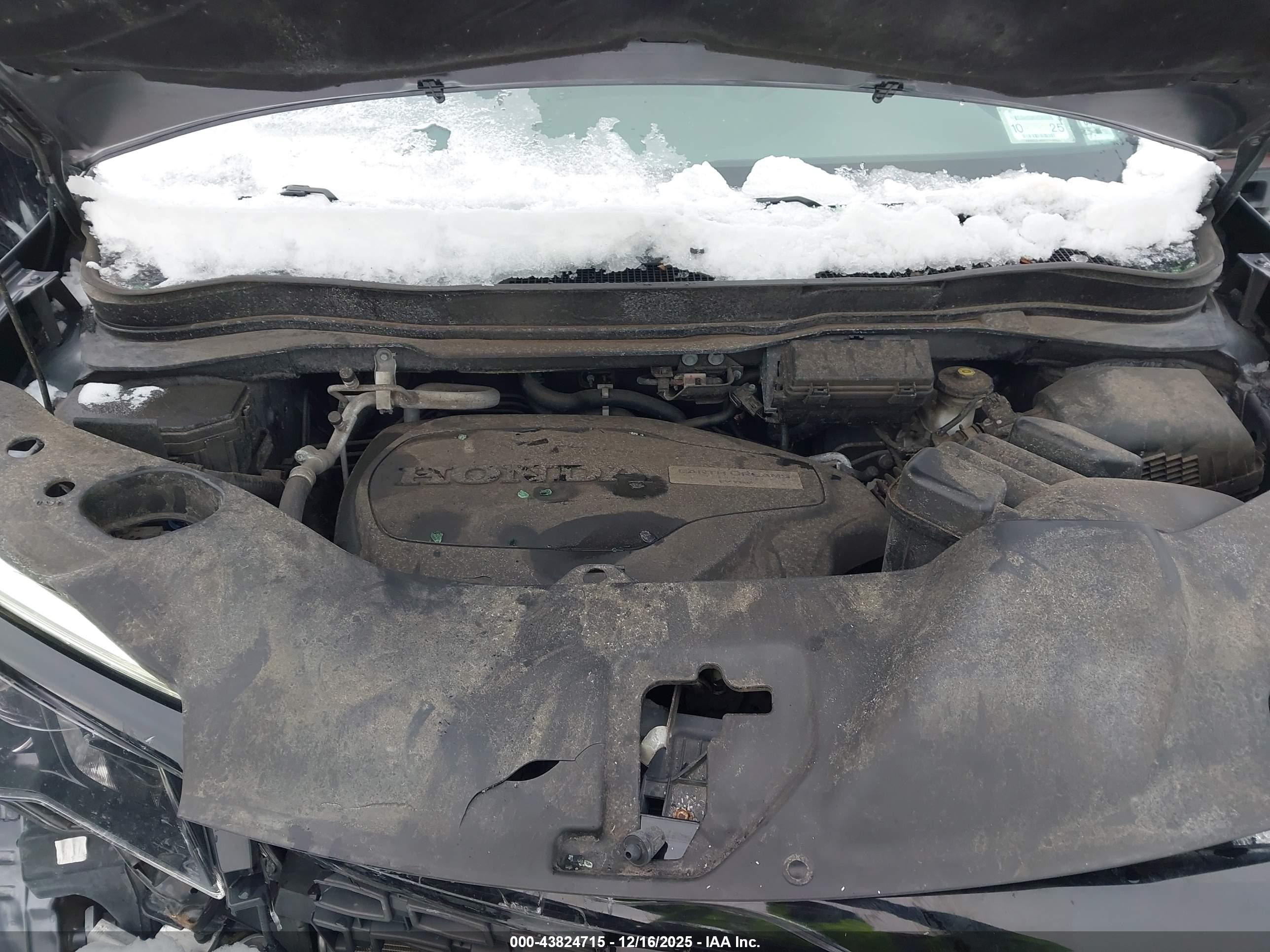 HONDA PASSPORT image 10