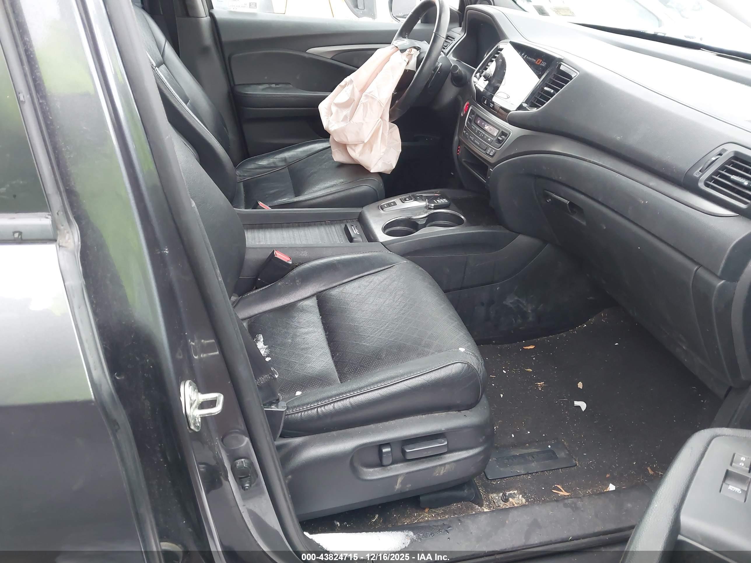 HONDA PASSPORT image 5