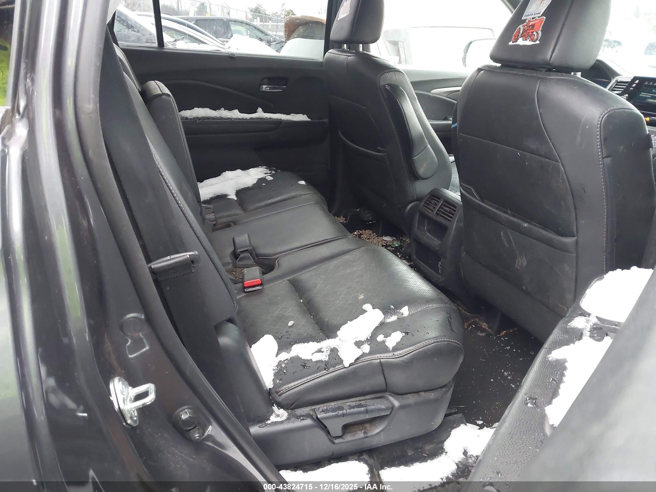 HONDA PASSPORT image 8