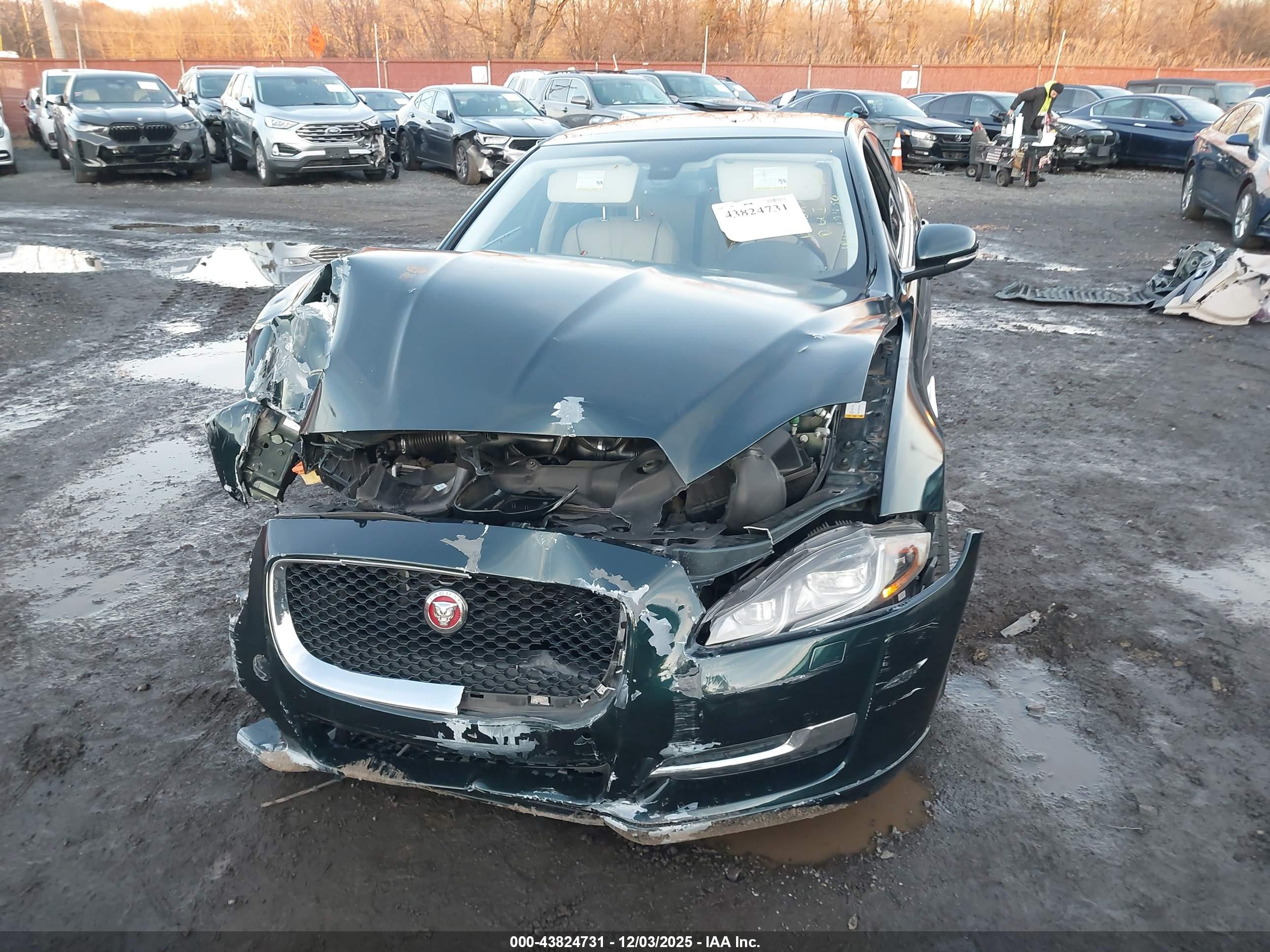 JAGUAR XJ image 6