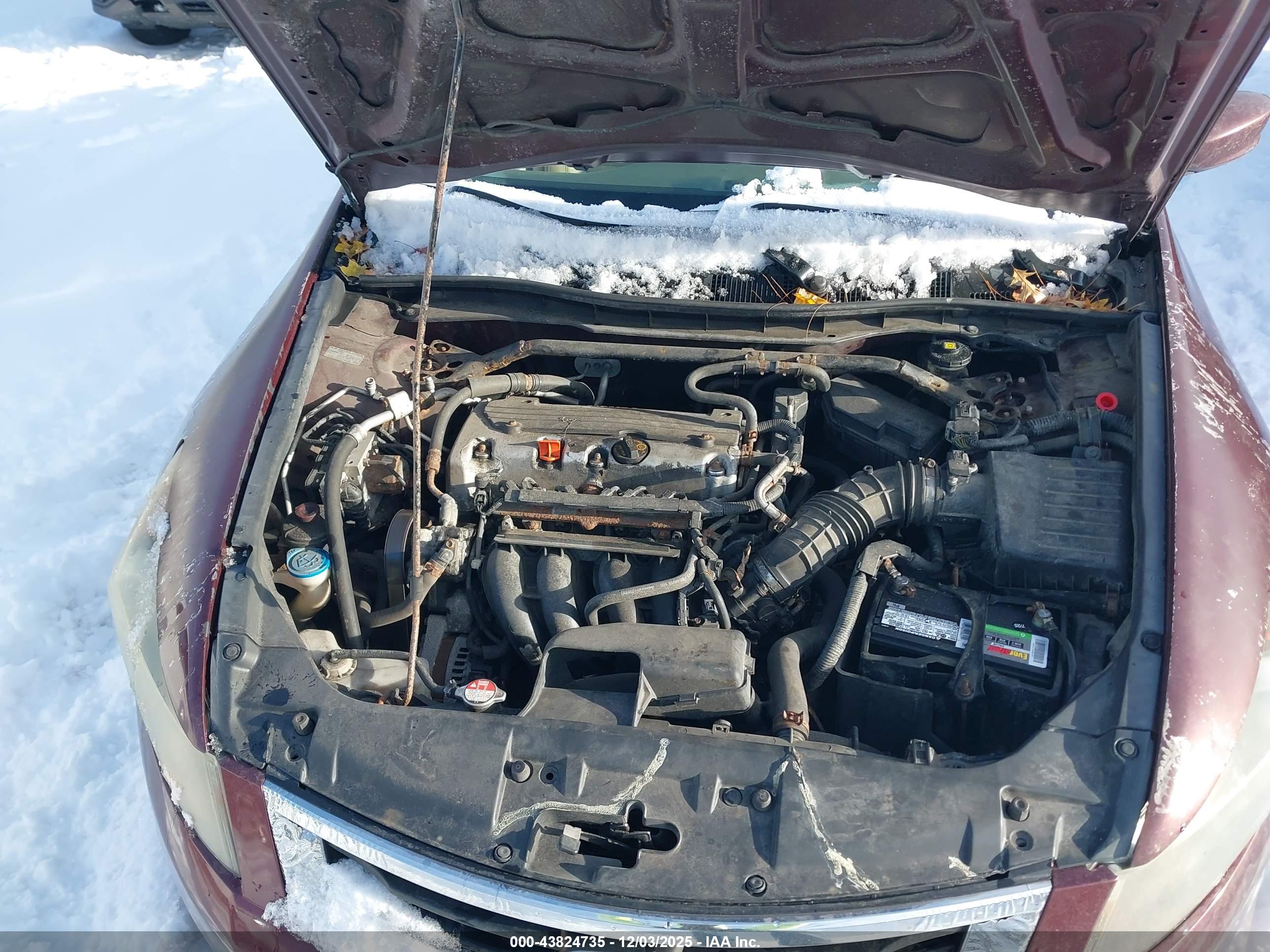 HONDA ACCORD image 10