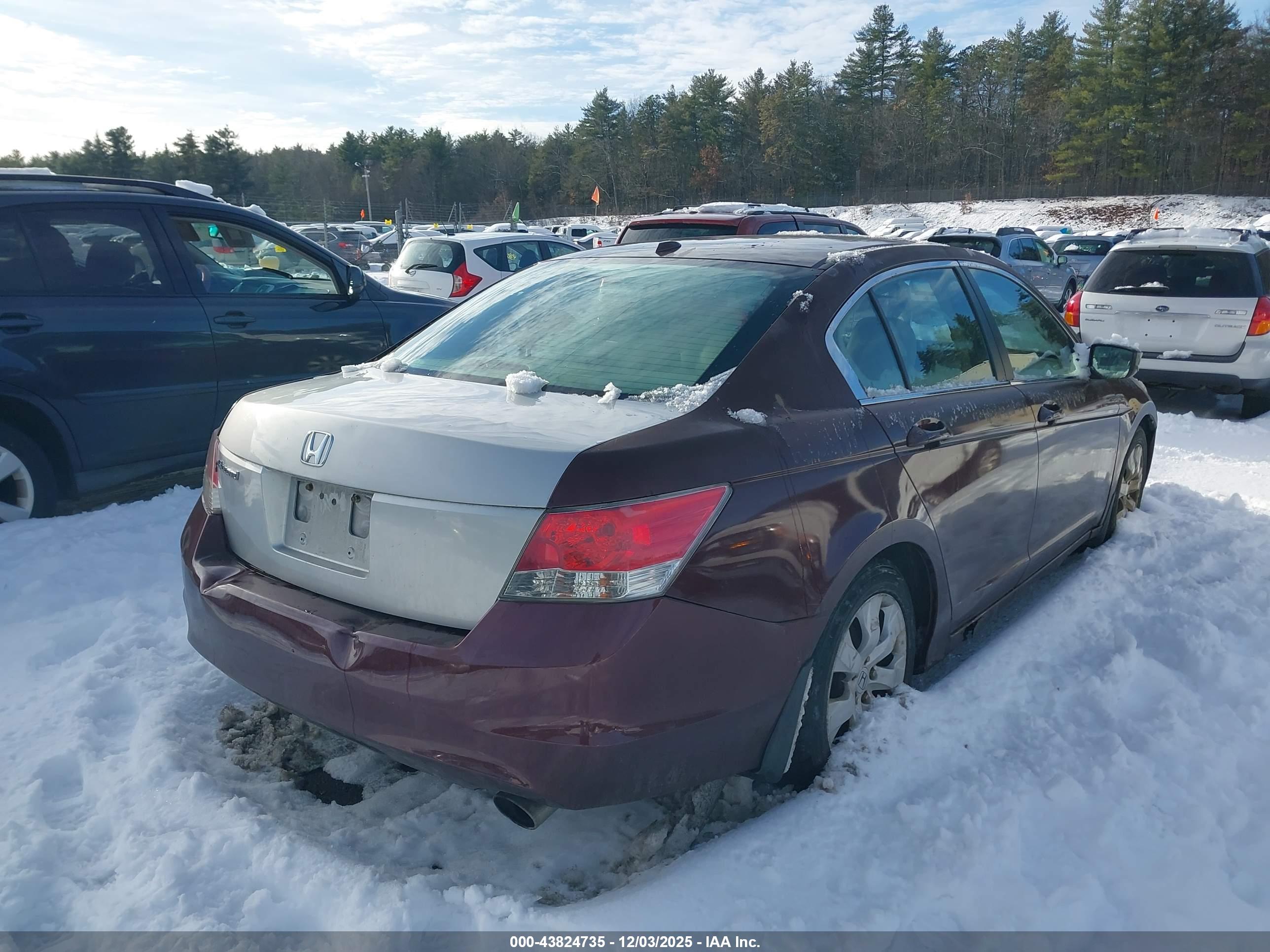 HONDA ACCORD image 4