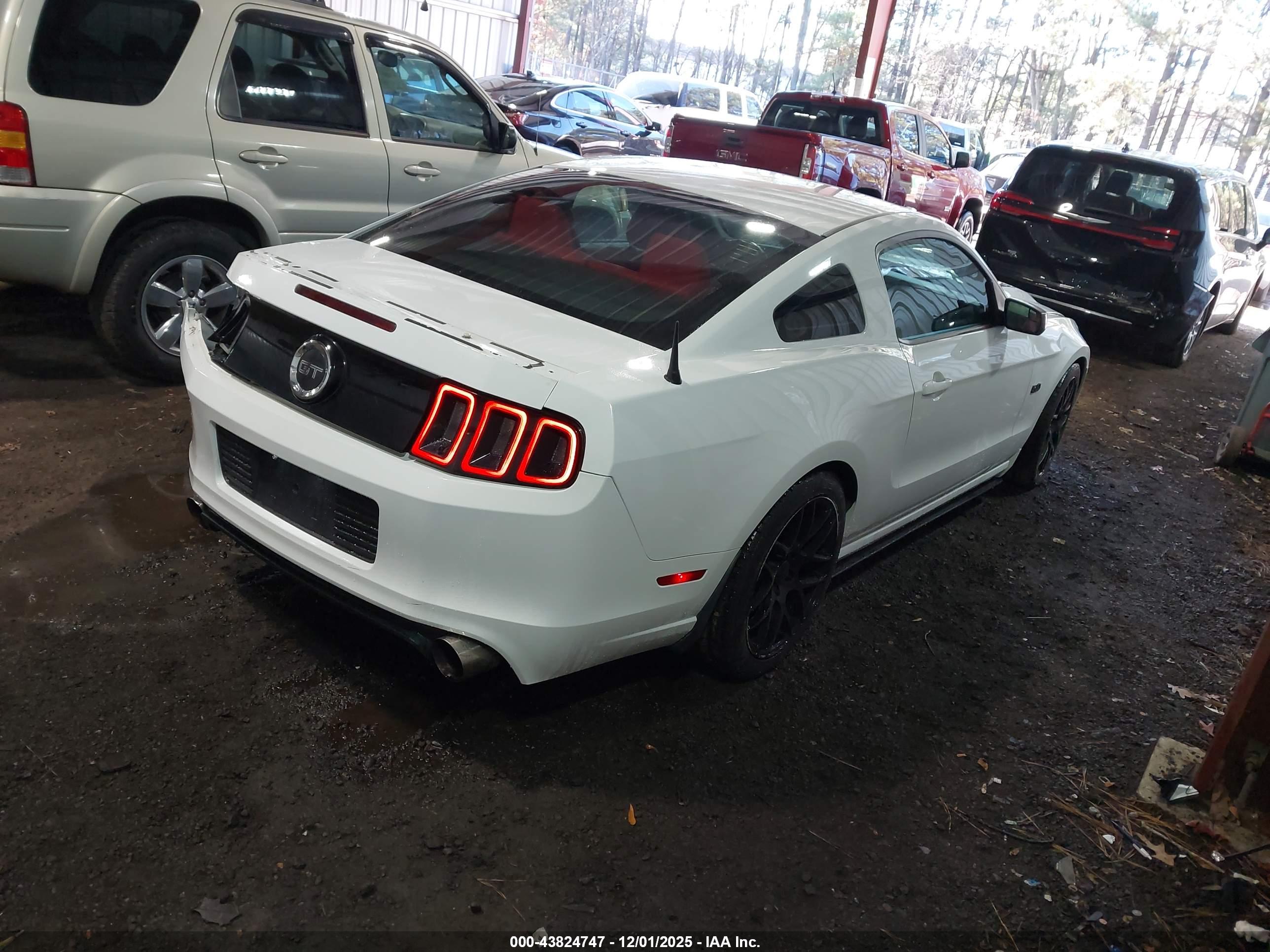FORD MUSTANG image 4