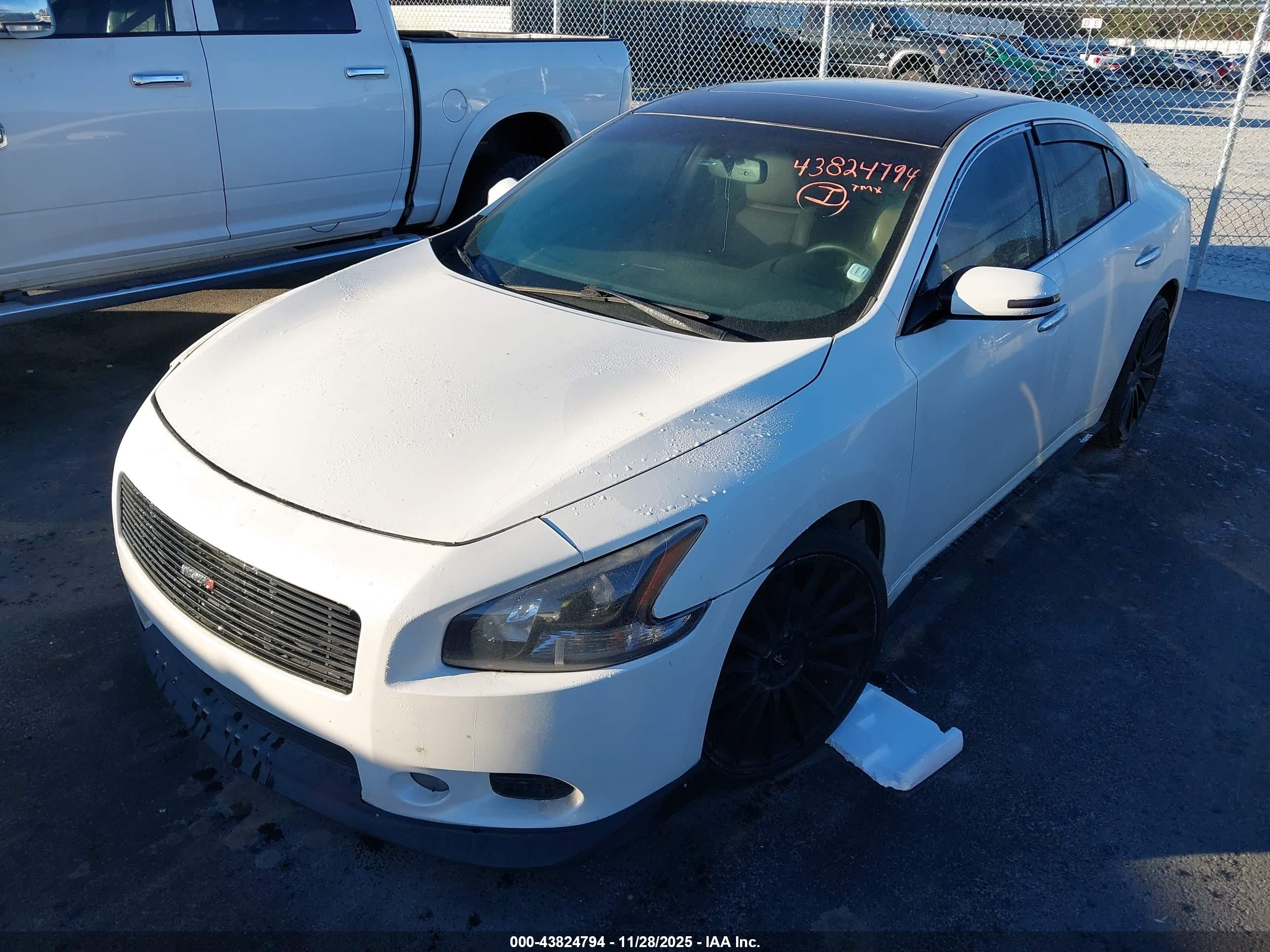 NISSAN MAXIMA image 2