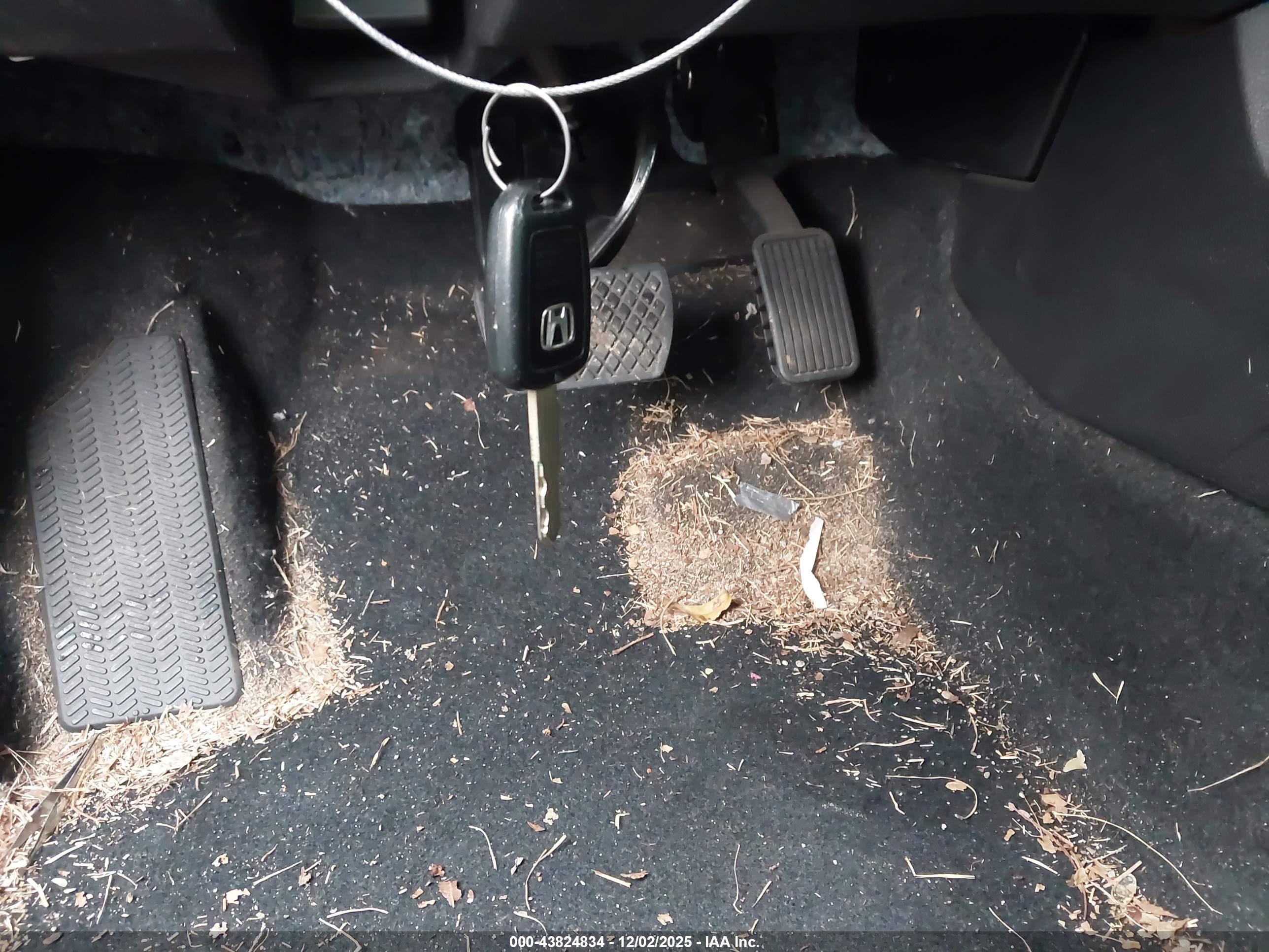 HONDA CIVIC image 11
