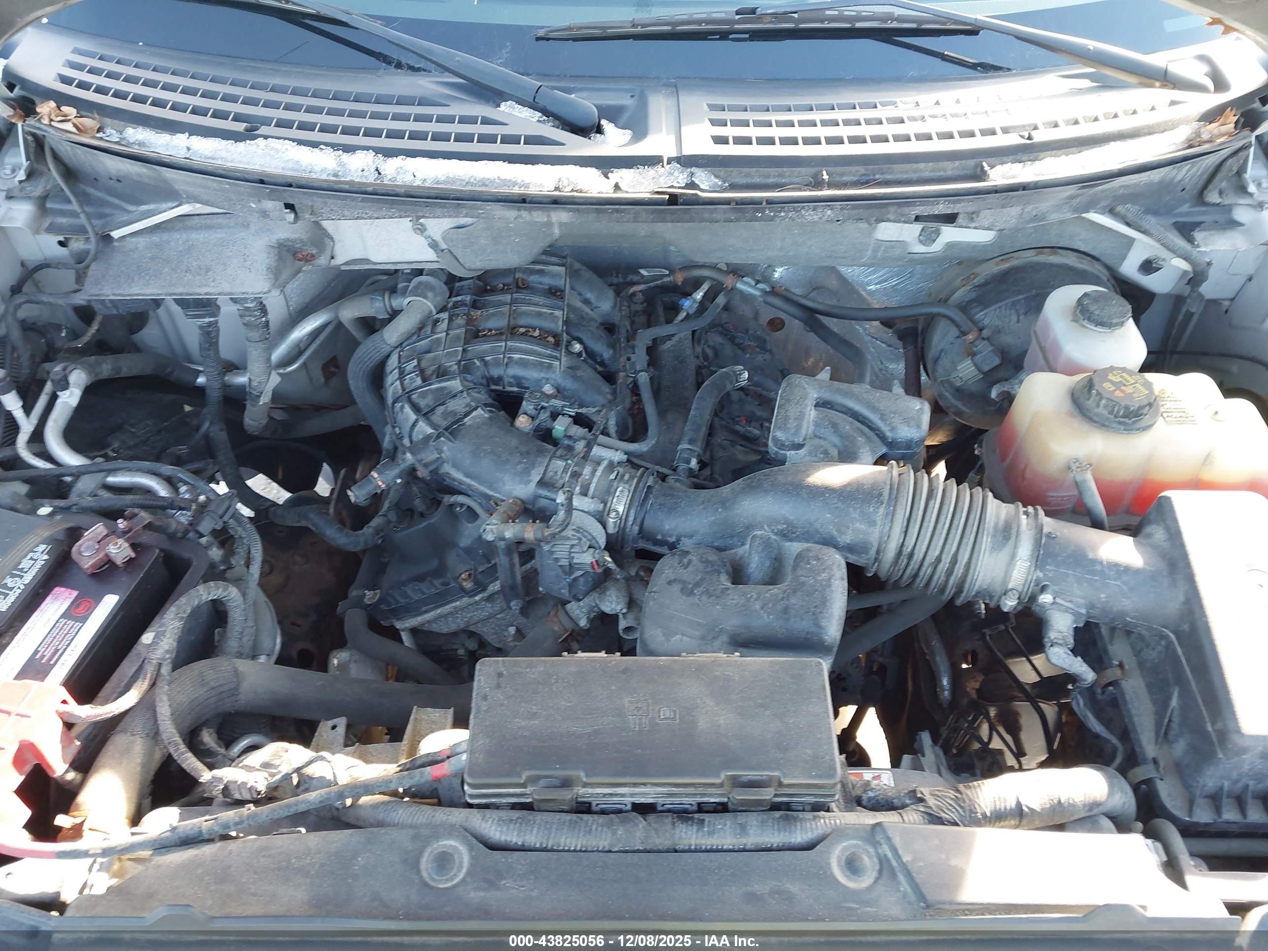 FORD F-150 image 10