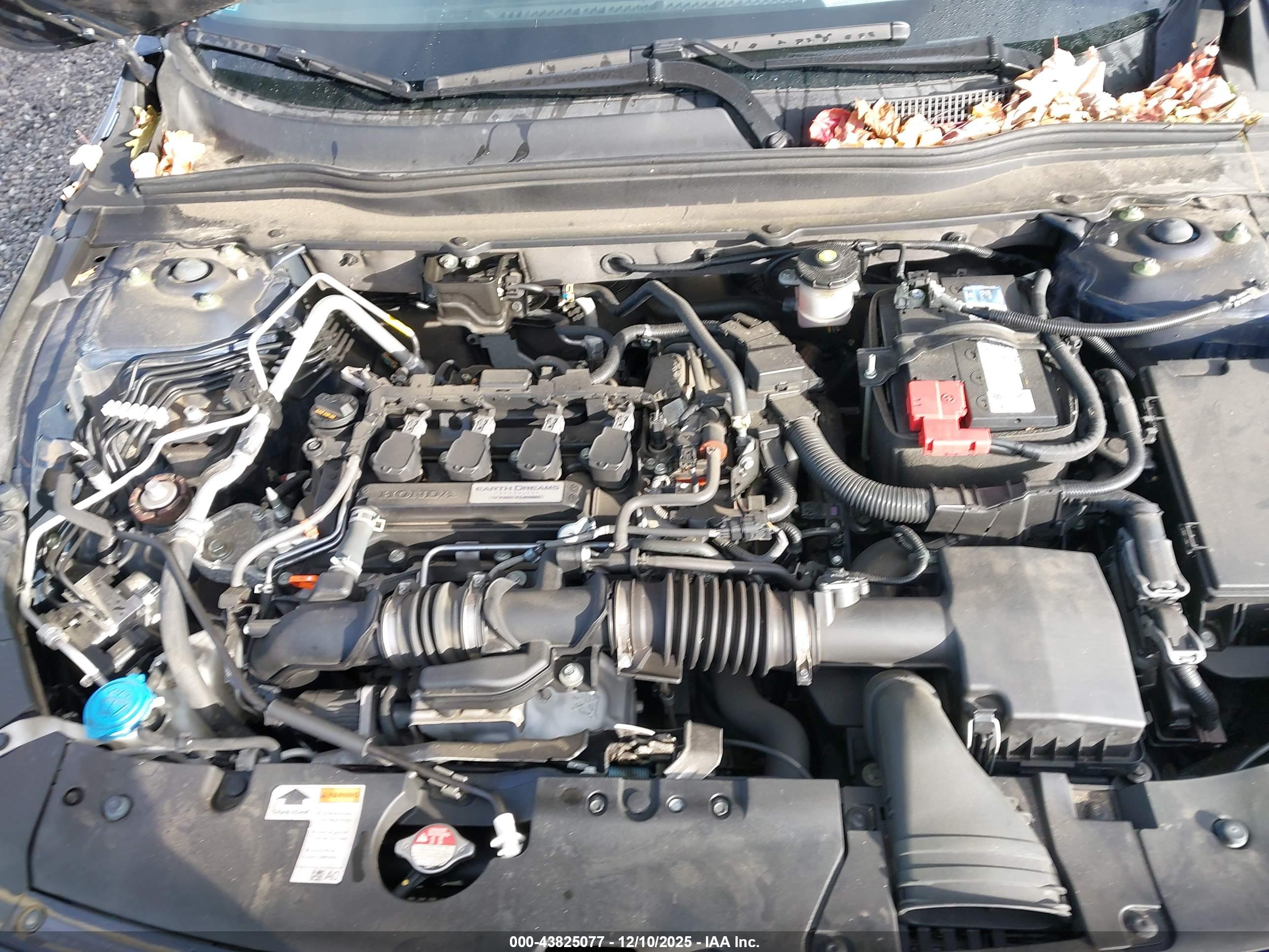 HONDA ACCORD image 10