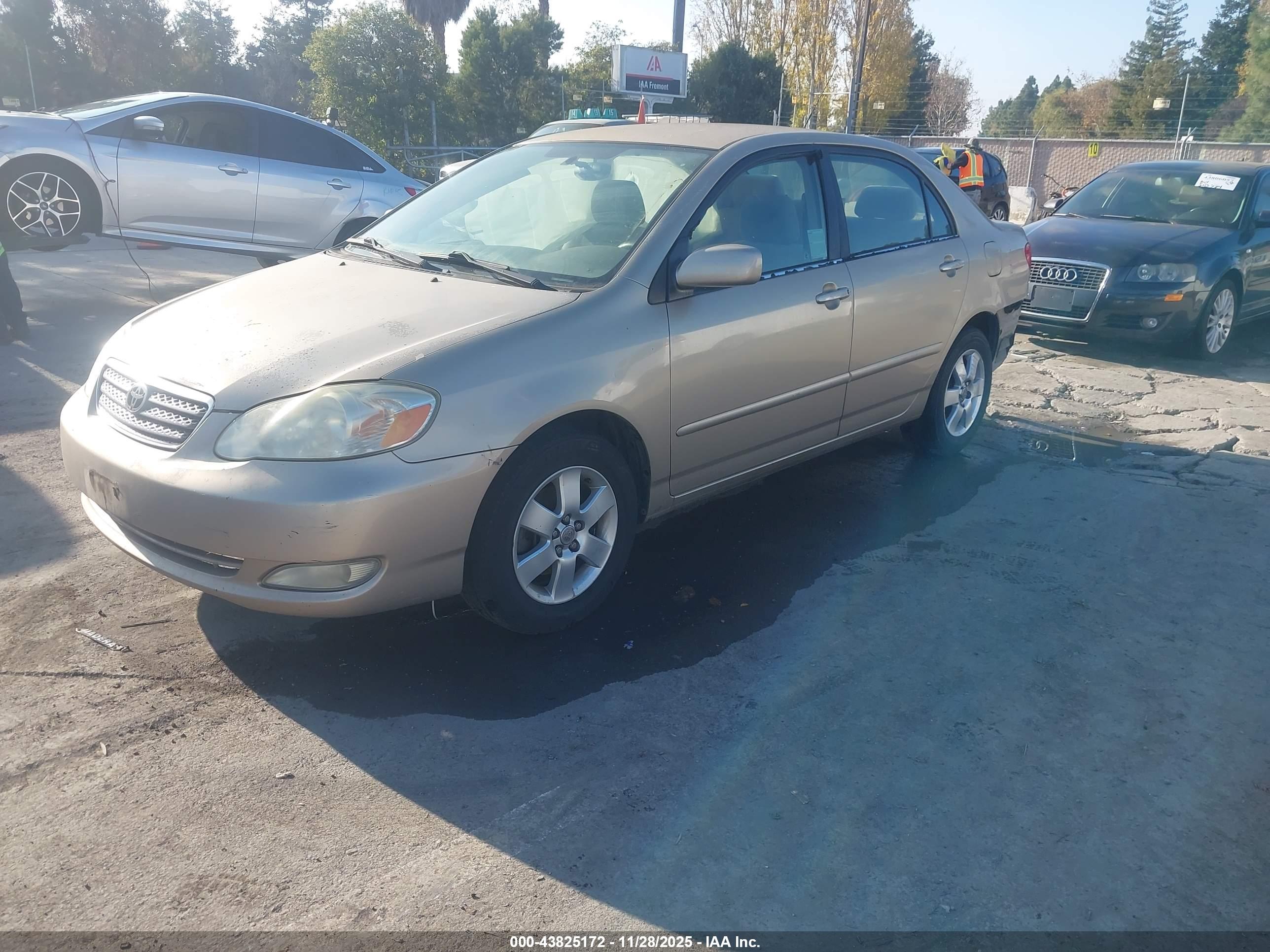 TOYOTA COROLLA image 2