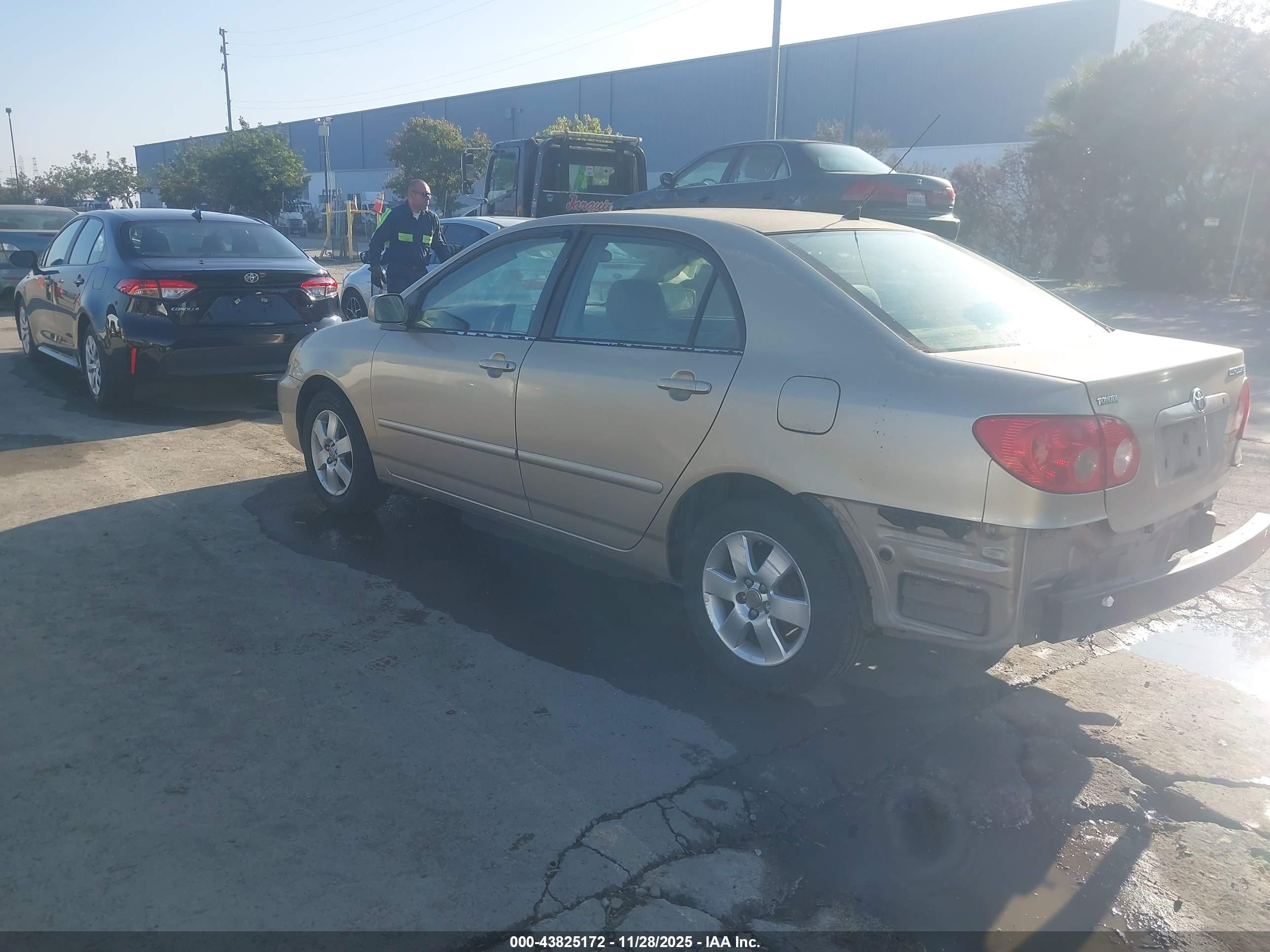 TOYOTA COROLLA image 3