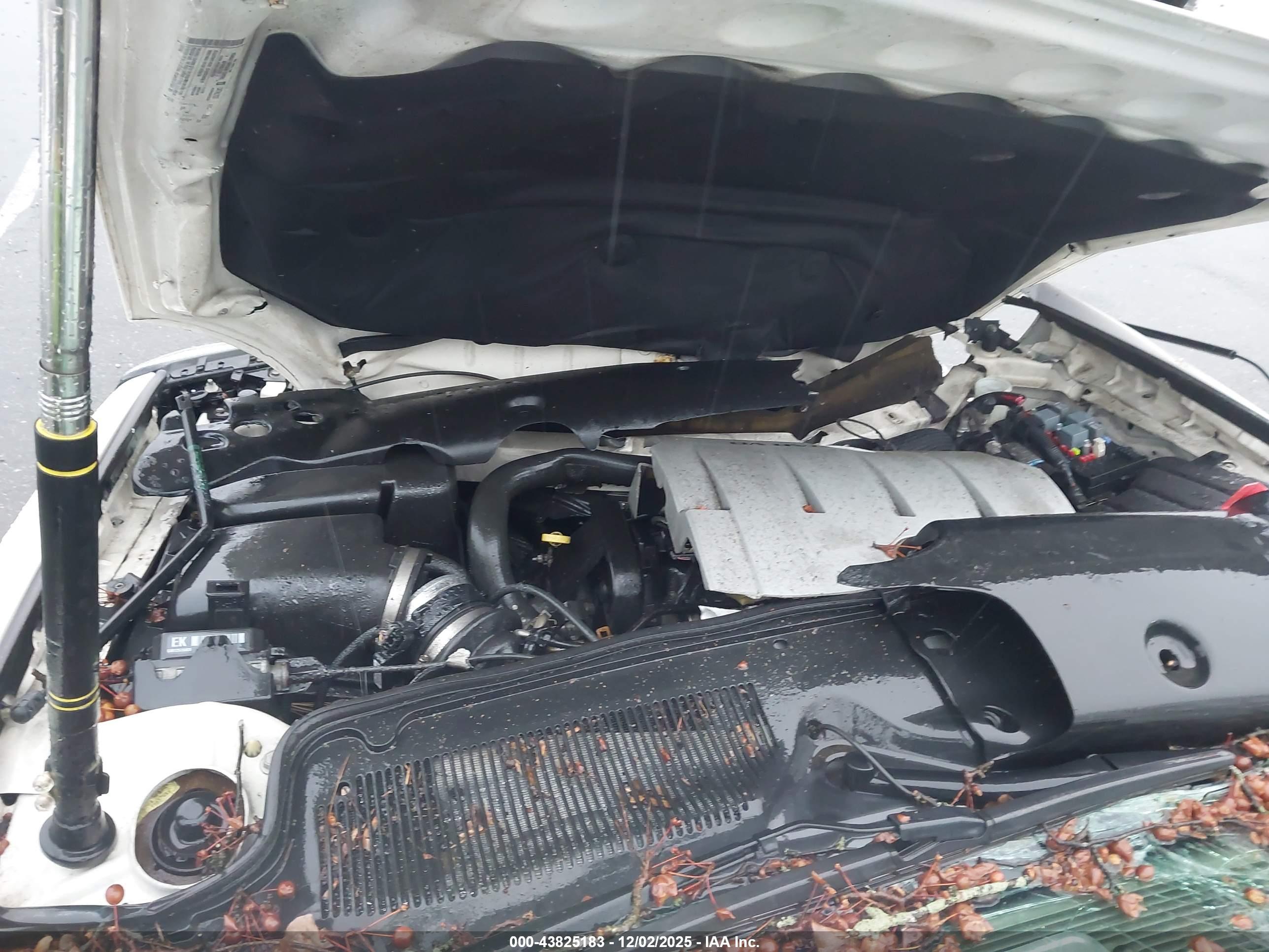CADILLAC DEVILLE image 10