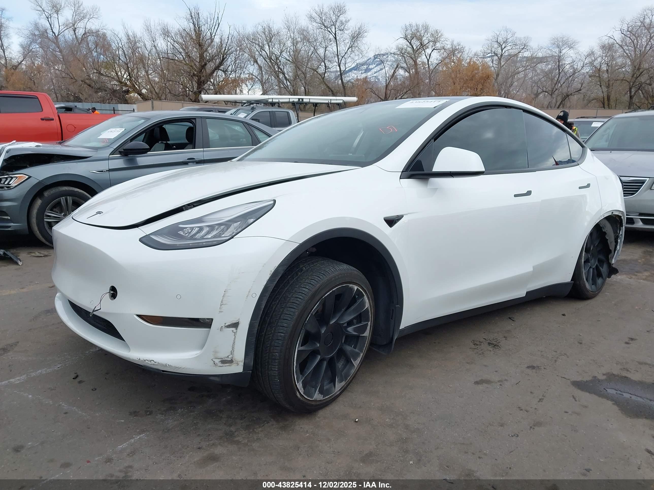 TESLA MODEL image 2