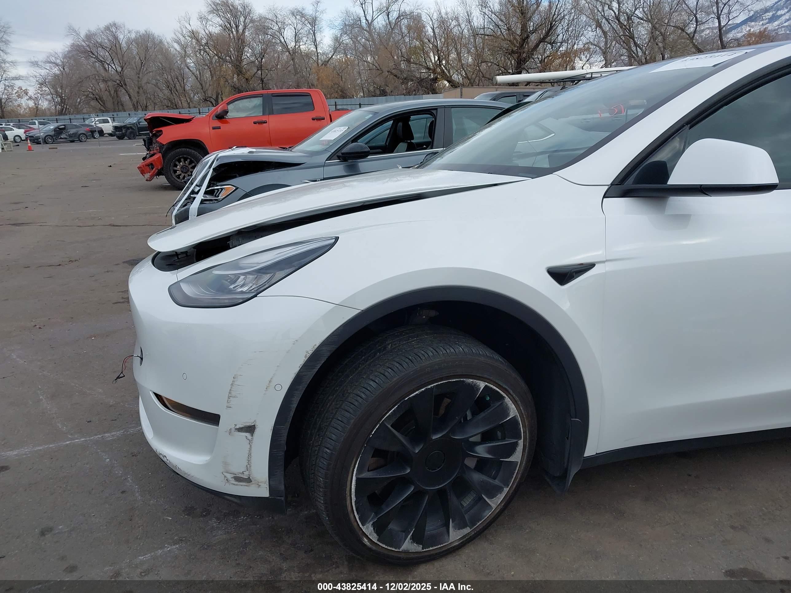 TESLA MODEL image 6