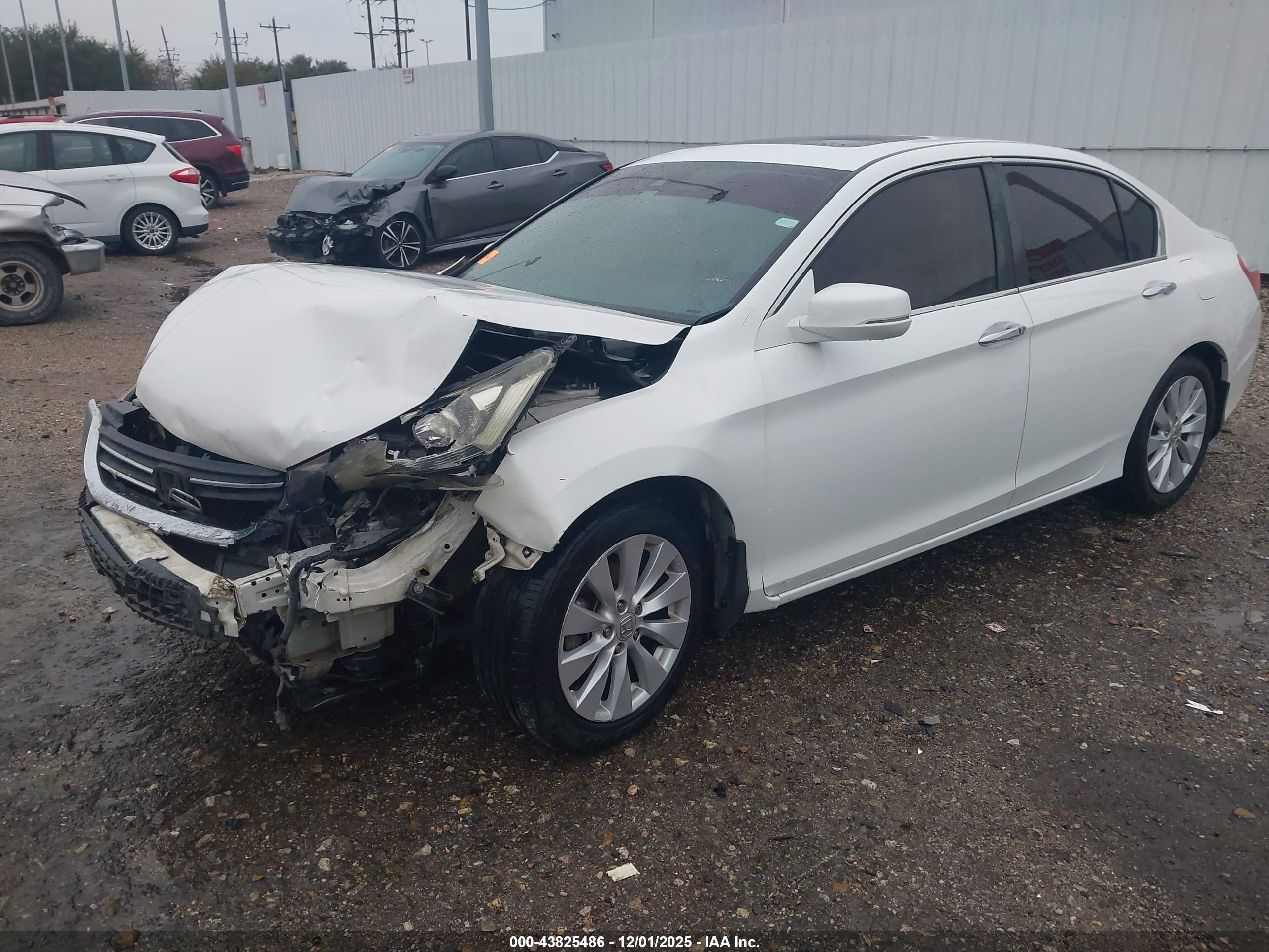 HONDA ACCORD image 2