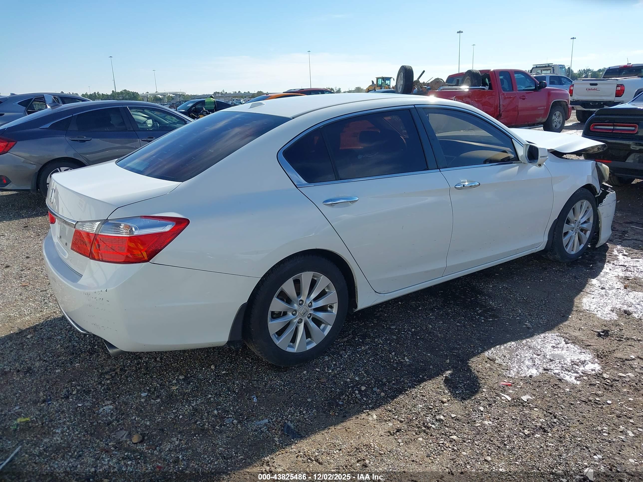 HONDA ACCORD image 4