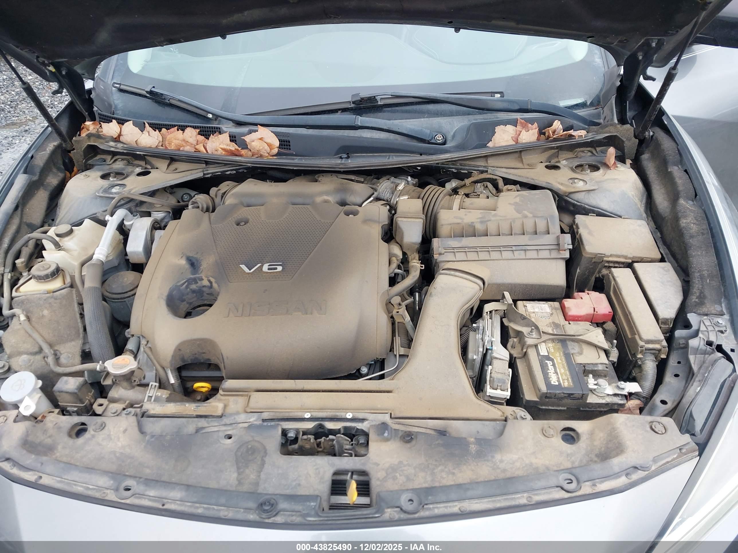 NISSAN MAXIMA image 10