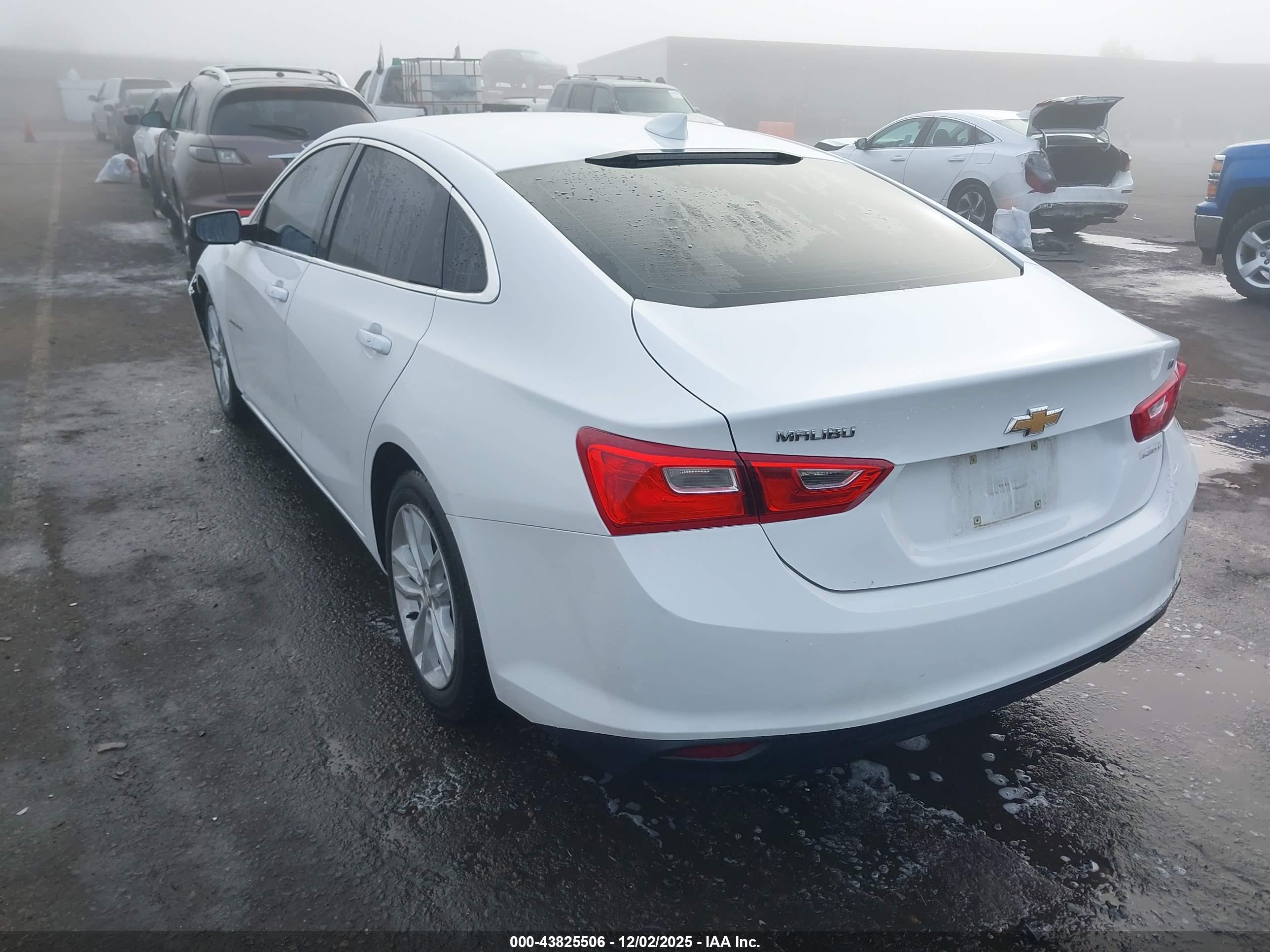 CHEVROLET MALIBU image 3