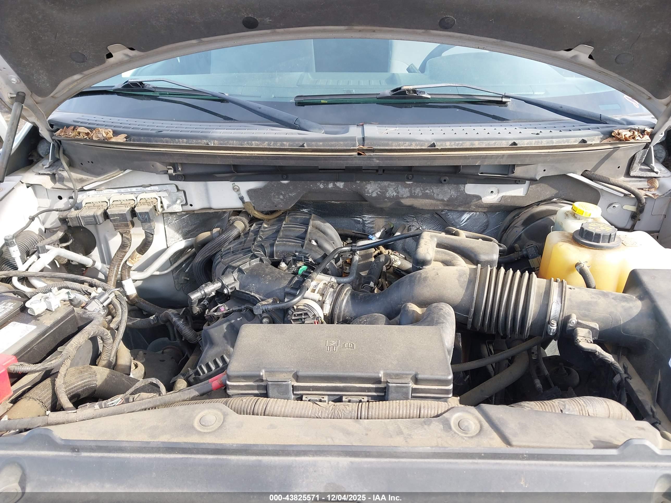 FORD F-150 image 10
