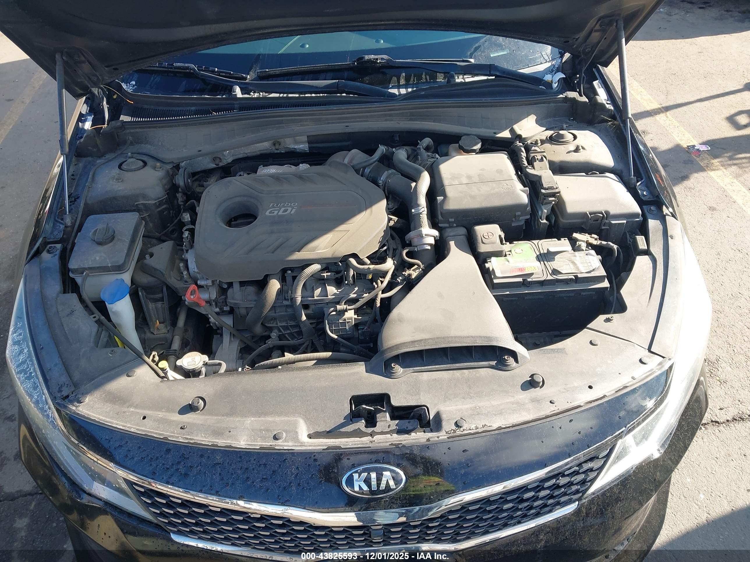KIA OPTIMA image 10