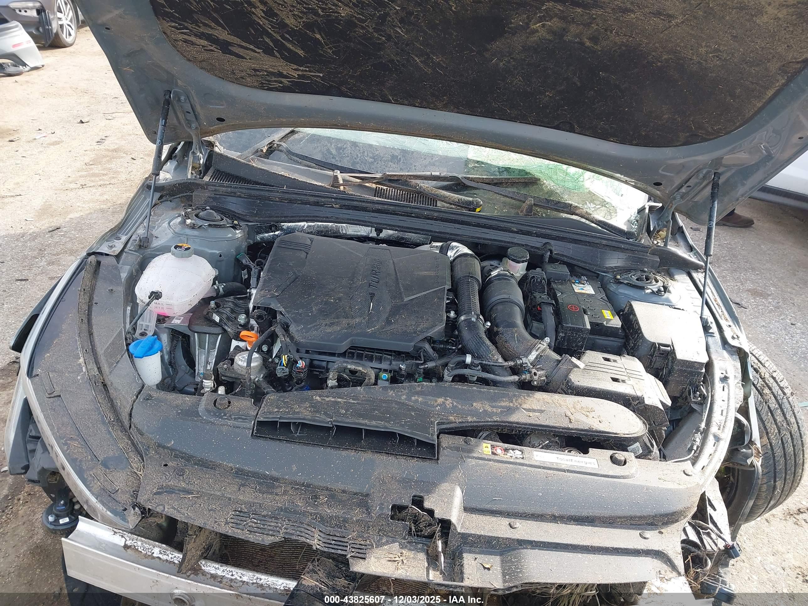 KIA K5 image 10