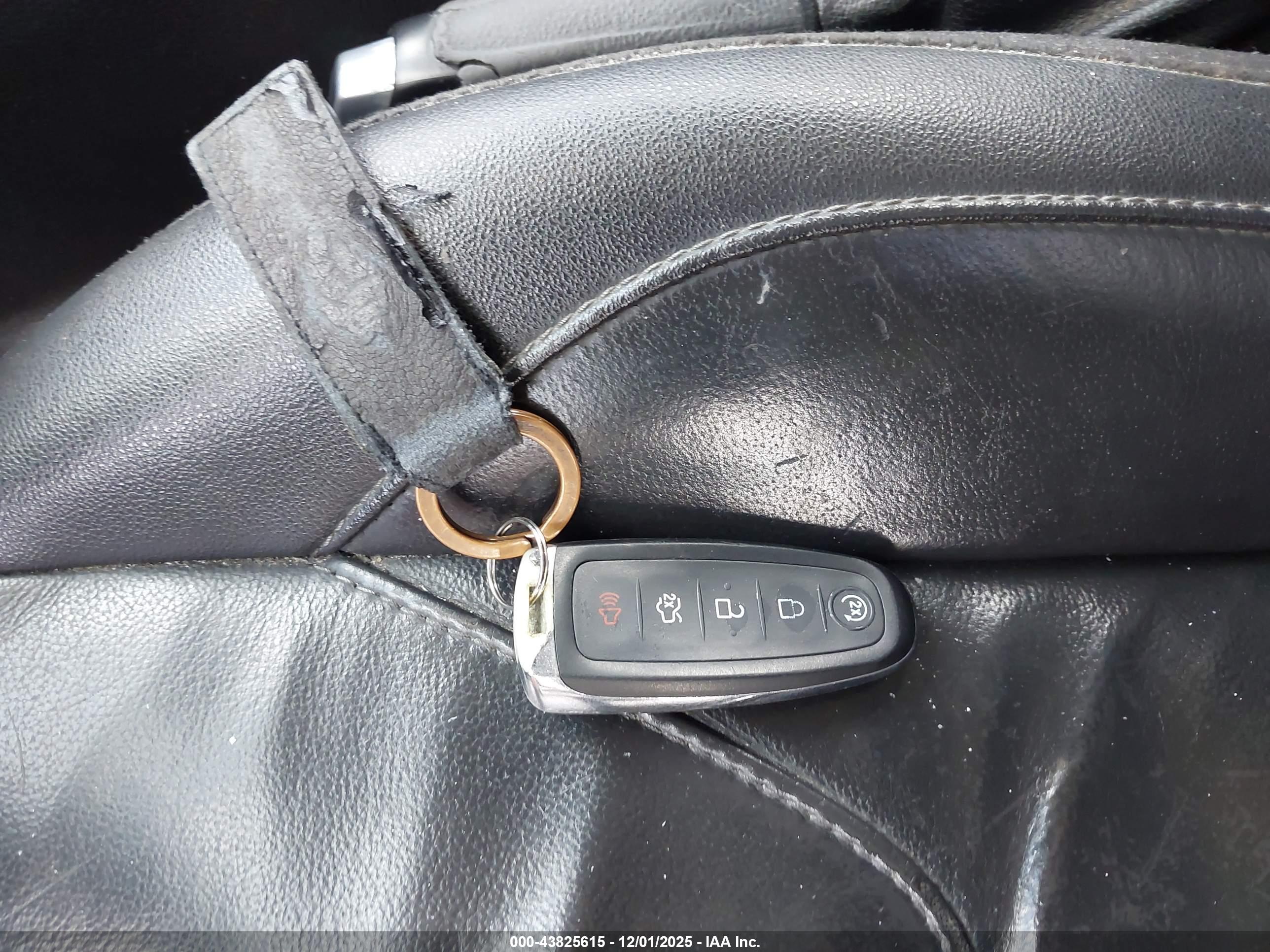 FORD FOCUS image 11