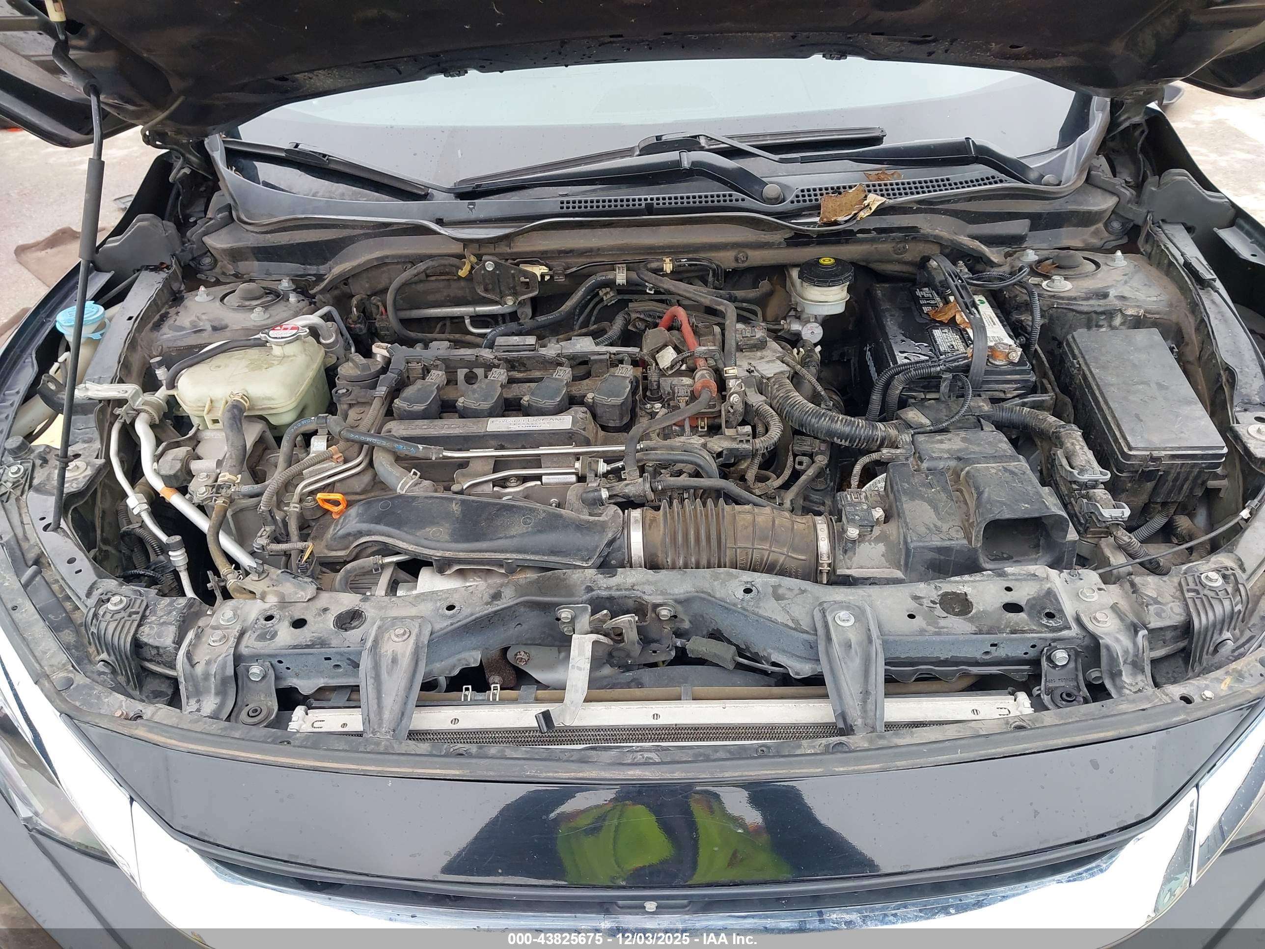 HONDA CIVIC image 10