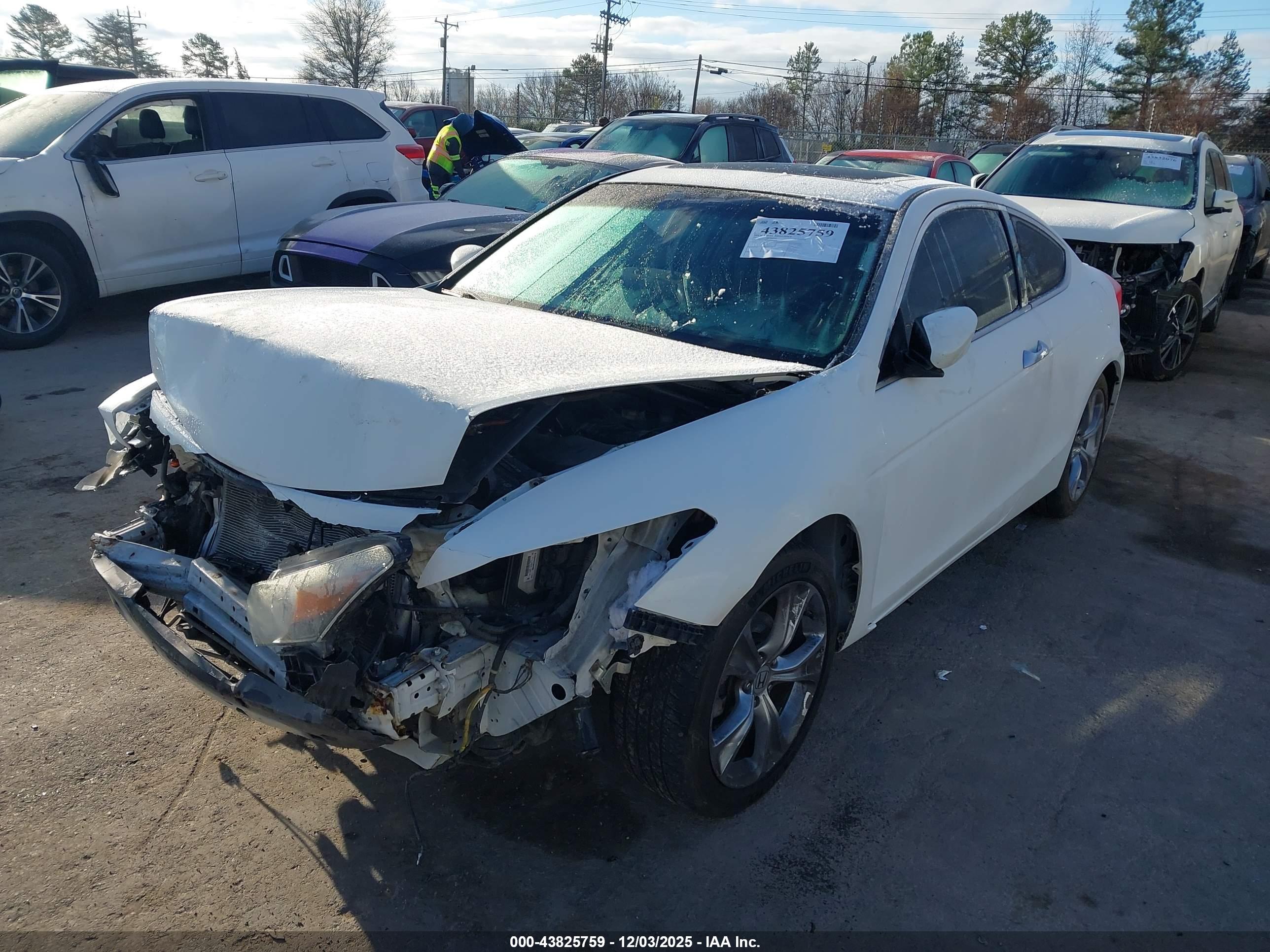 HONDA ACCORD image 2