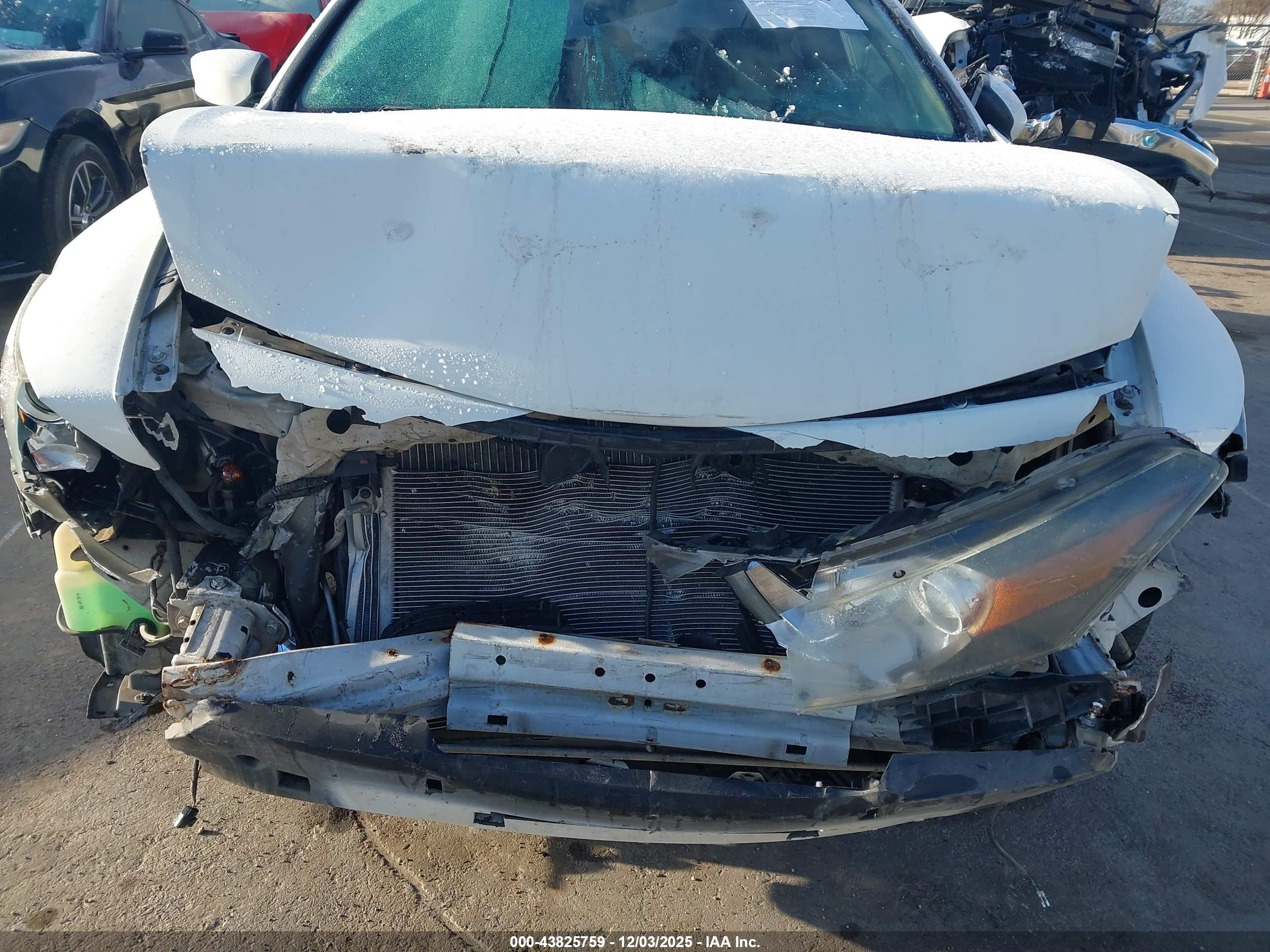 HONDA ACCORD image 6