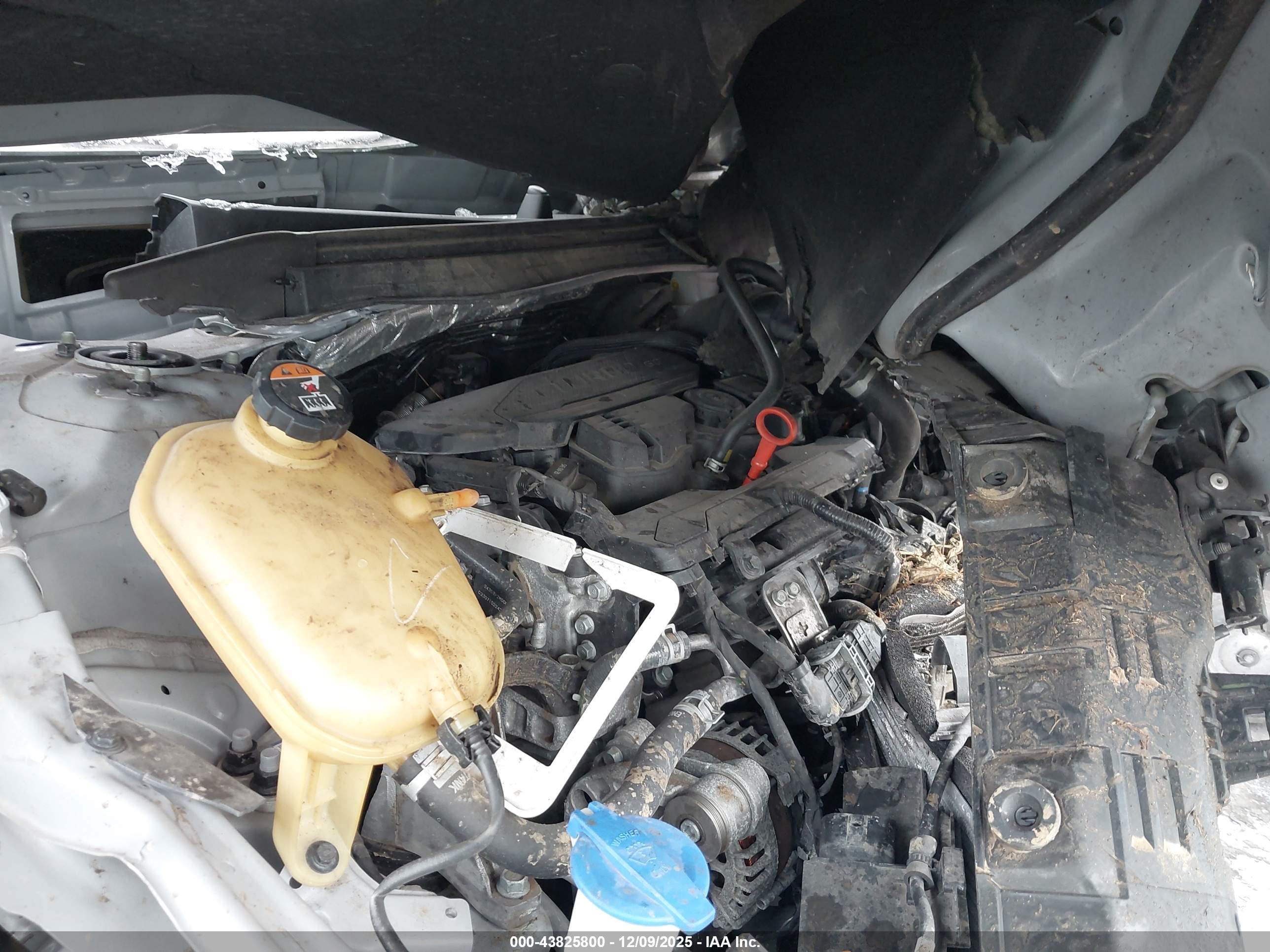 KIA K5 image 10