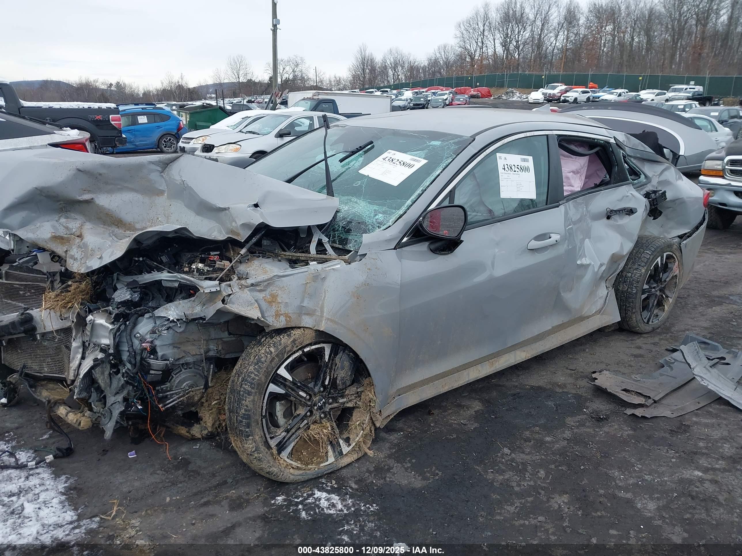 KIA K5 image 2