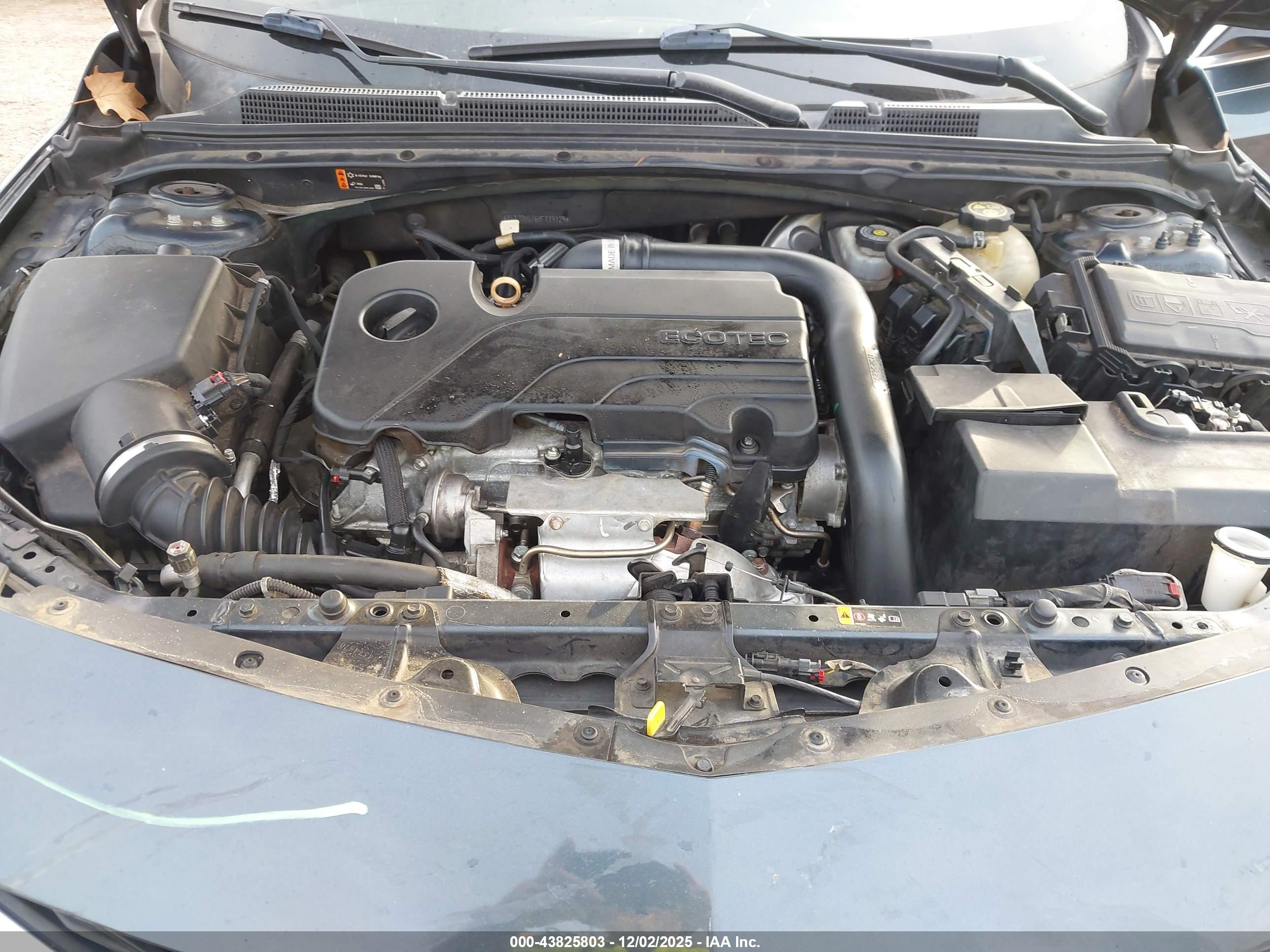 CHEVROLET MALIBU image 10