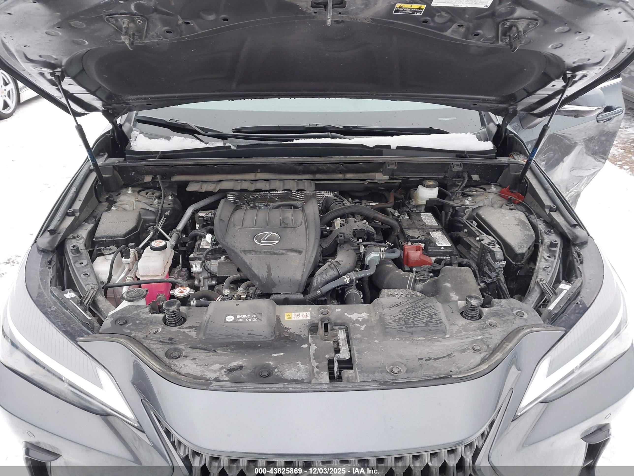 LEXUS NX image 10