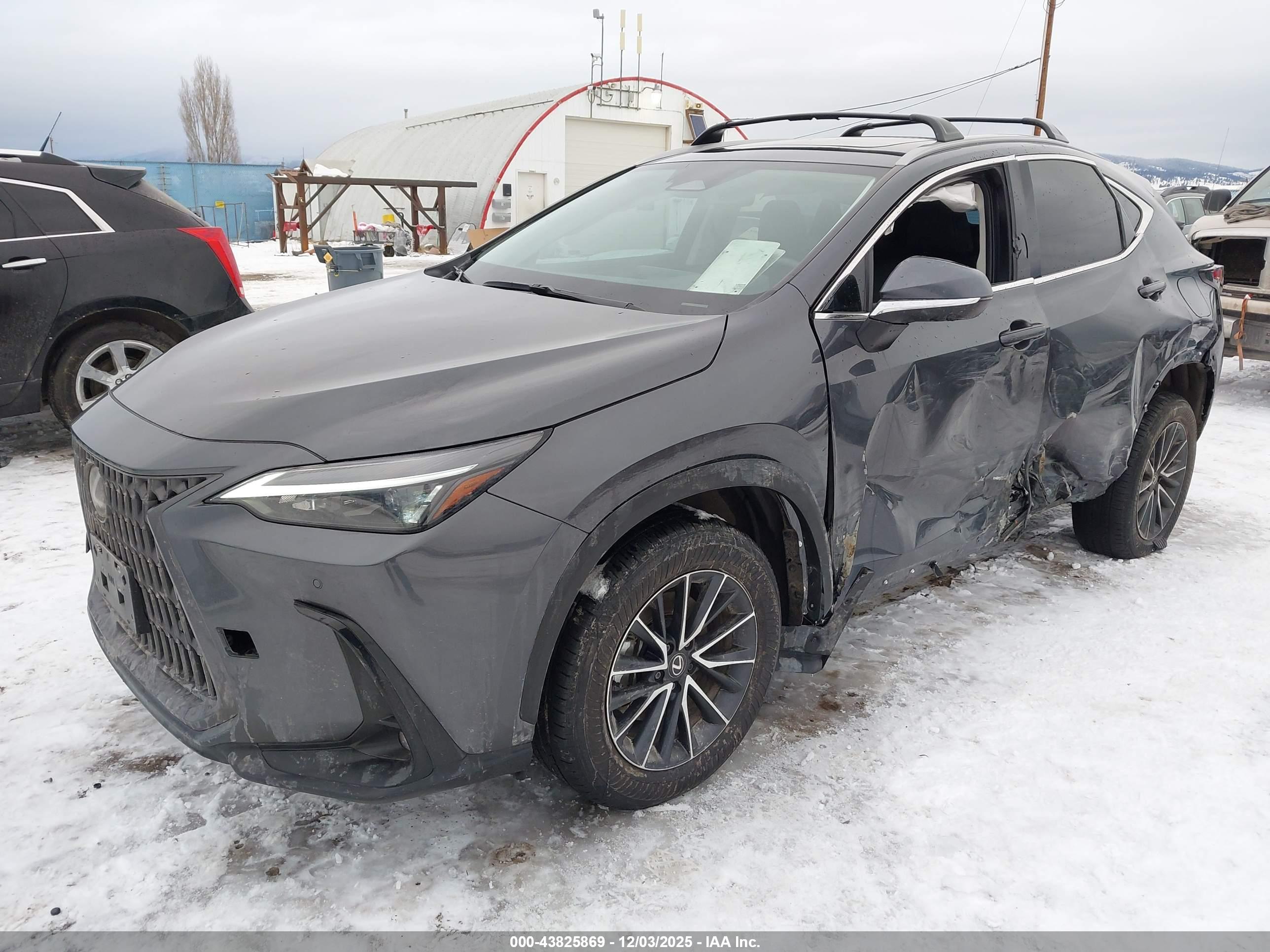 LEXUS NX image 2