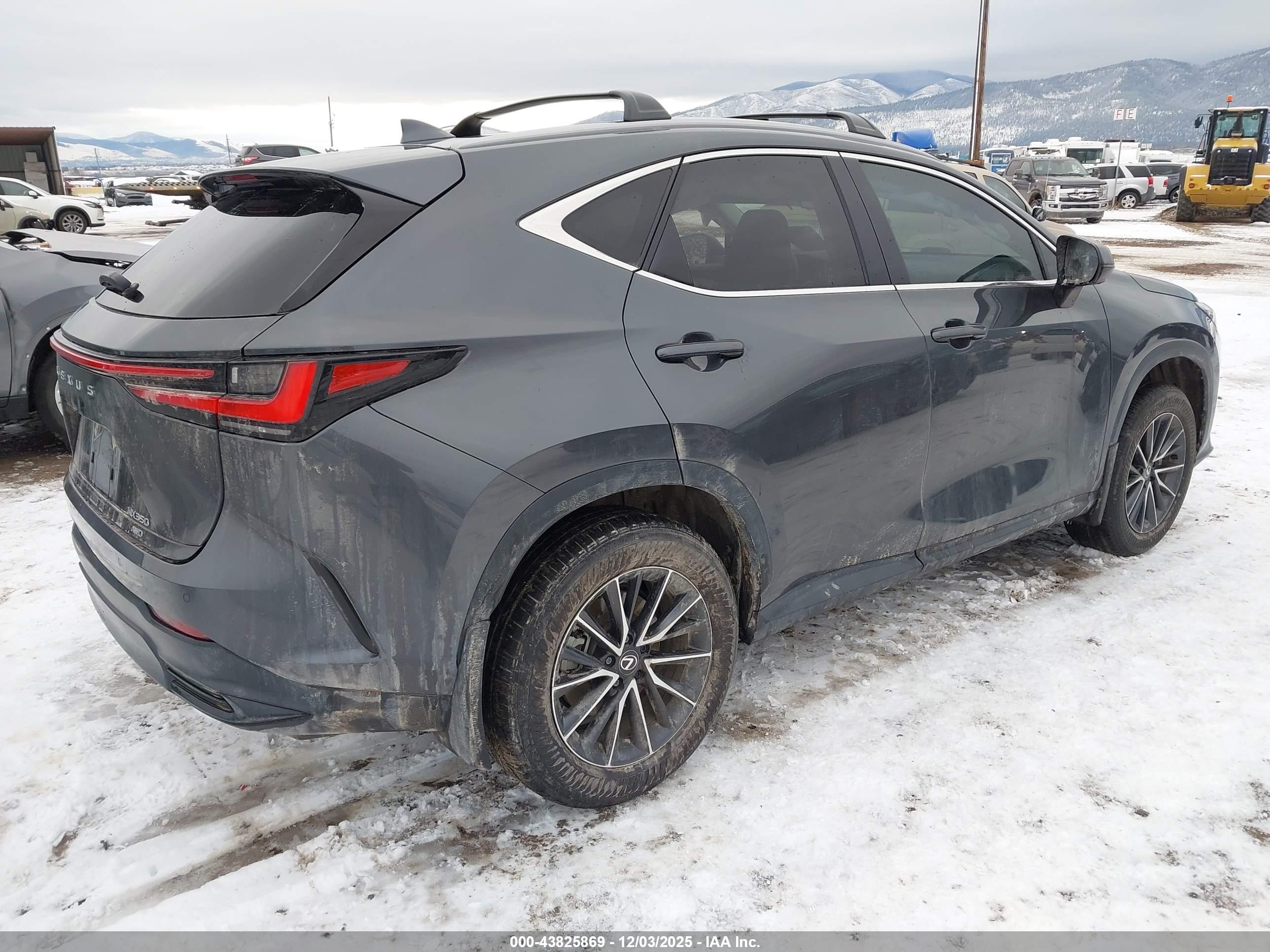 LEXUS NX image 4
